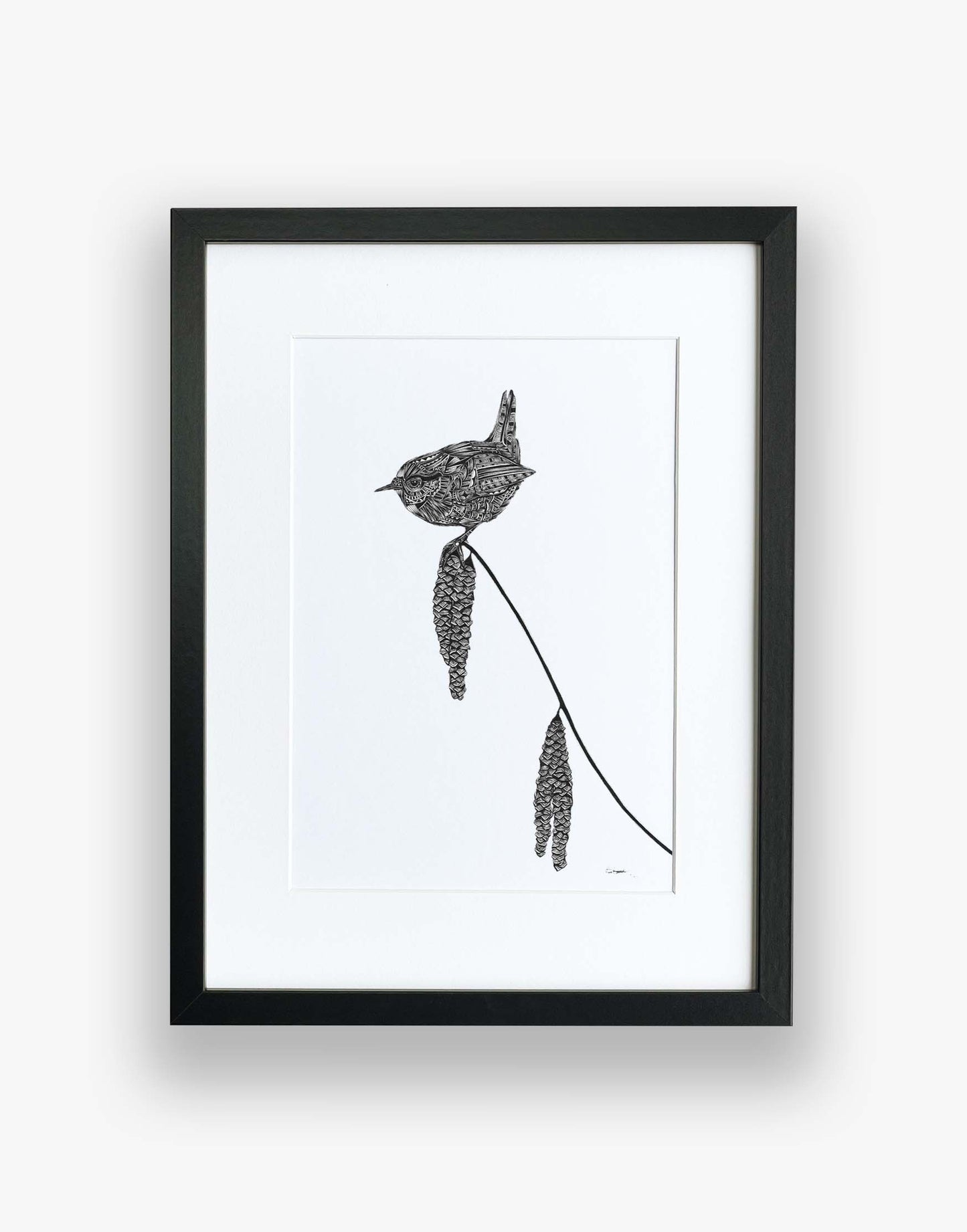 Bird limited edition artwork of wren hand drawn in pen and ink by Pia Elliot in her Dorset studio
