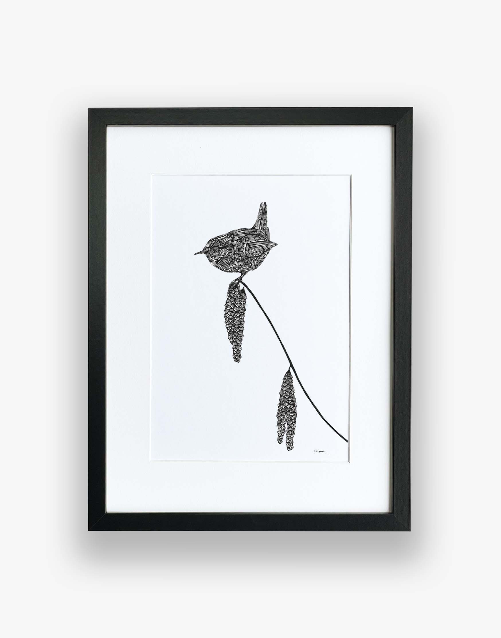 Bird limited edition artwork of wren hand drawn in pen and ink by Pia Elliot in her Dorset studio