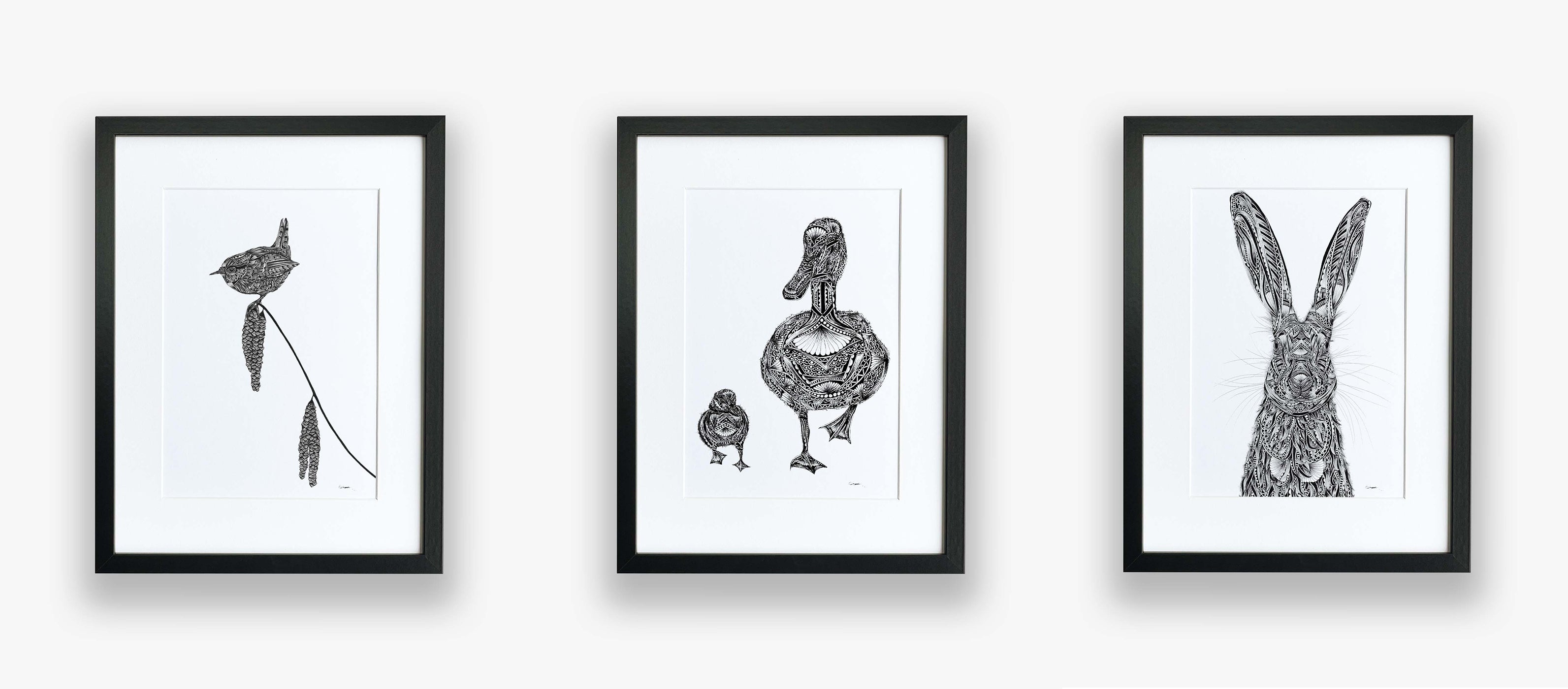 A selection of black and white, Dorset inspired, limited edition, pen and ink wildlife illustrations hand drawn by Pia Elliot