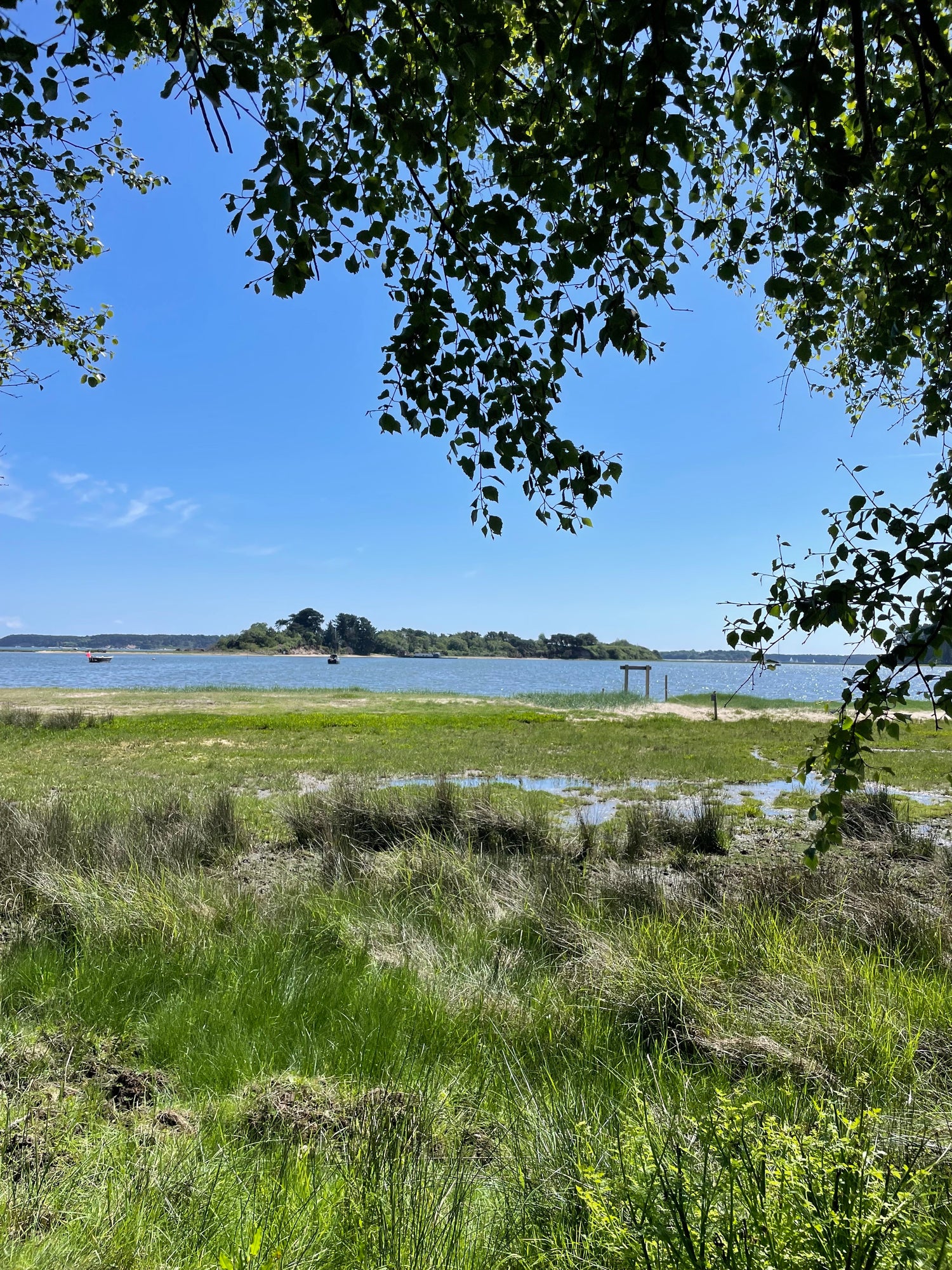 Landscape image of Arne in Dorset used for artistic inspiration