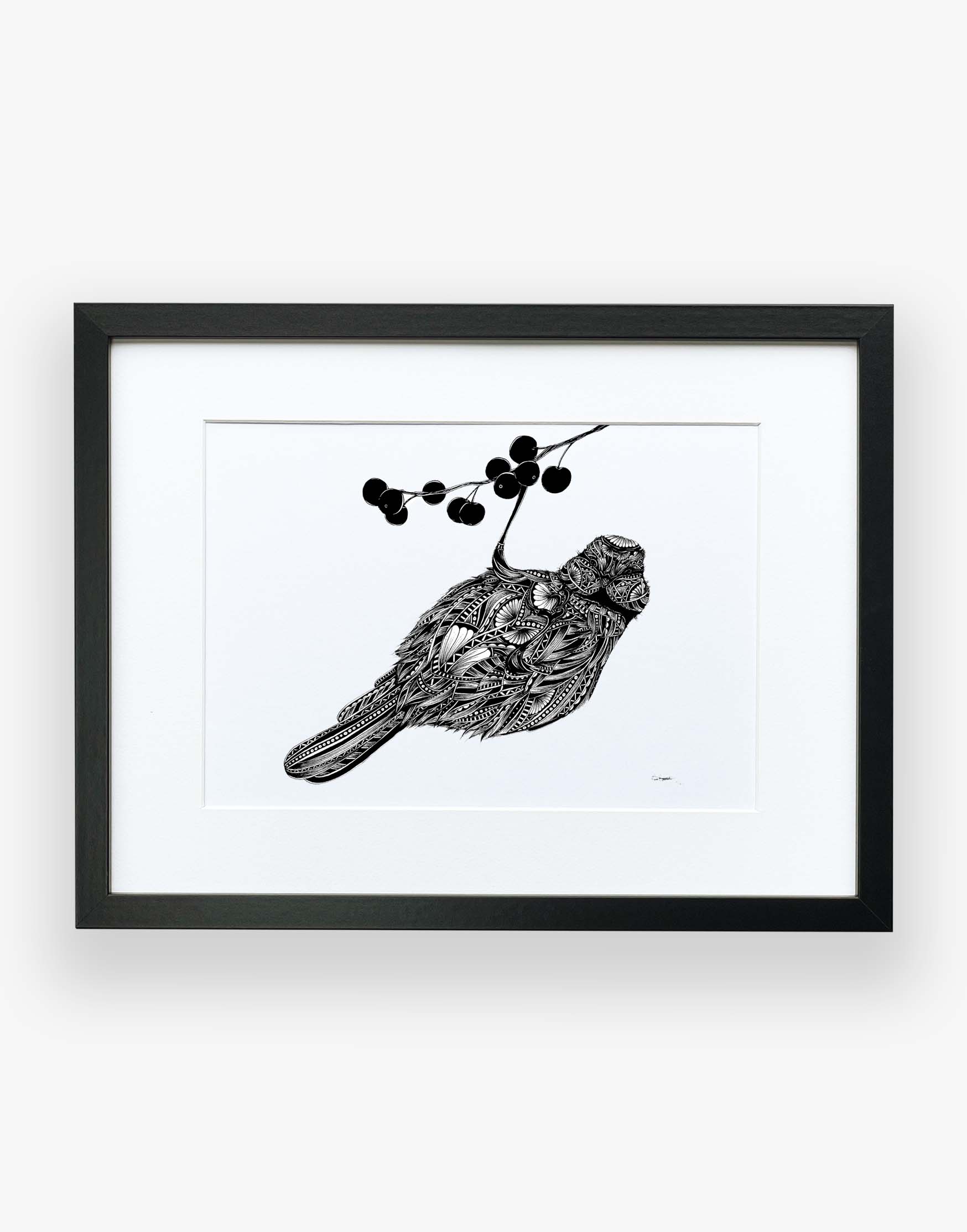 Monochrome blue tit bird limited edition artwork, hand drawn in pen and ink by Pia Elliot in her Dorset studio