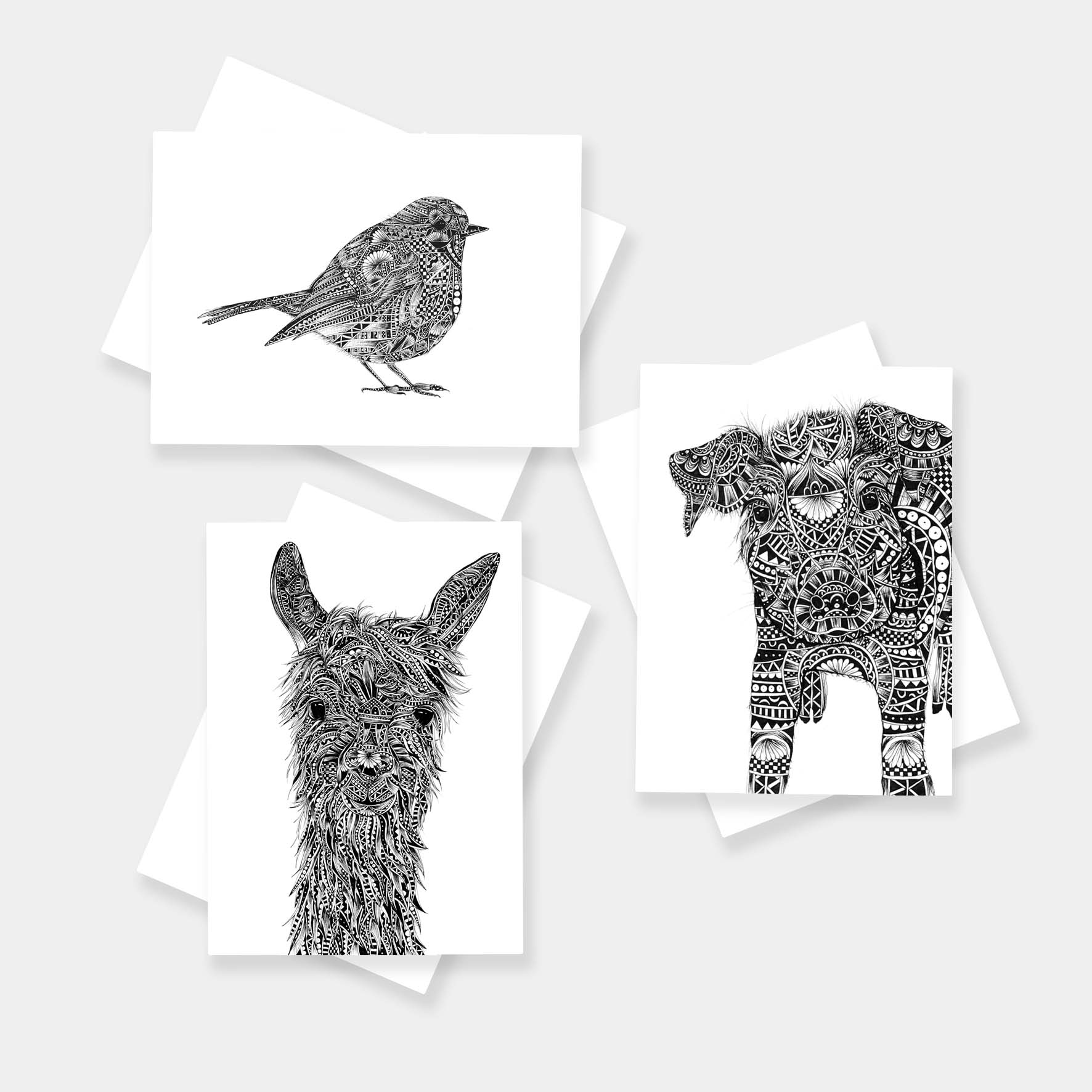 Monochrome blank animal greetings cards originally hand drawn in pen and ink by Pia Elliot in her Dorset studio