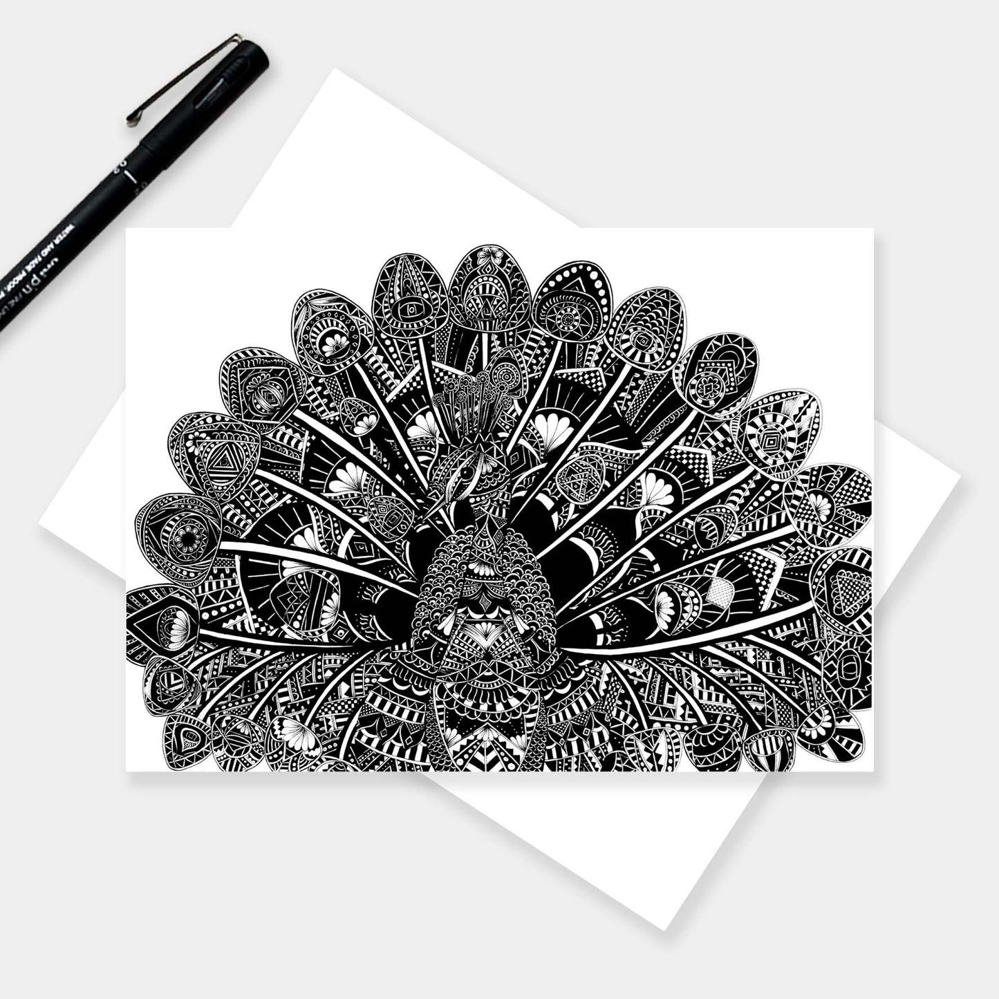 Blank peacock greetings card originally hand drawn in pen and ink by Pia Elliot in her Dorset studio