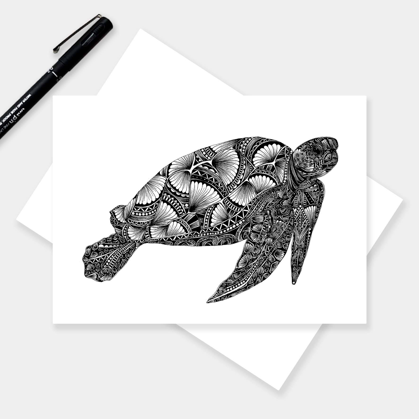 Monochrome blank turtle greetings card originally hand drawn in pen and ink by Pia Elliot in her Dorset studio