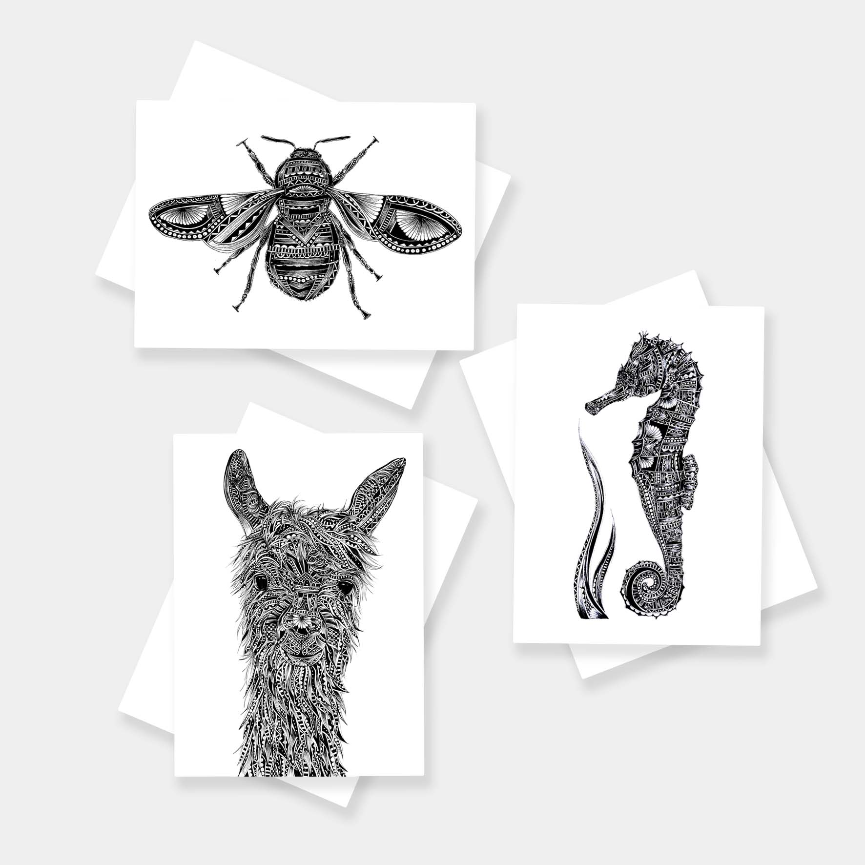 Monochrome blank wildlife greetings cards originally hand drawn in pen and ink by Pia Elliot in her Dorset studio