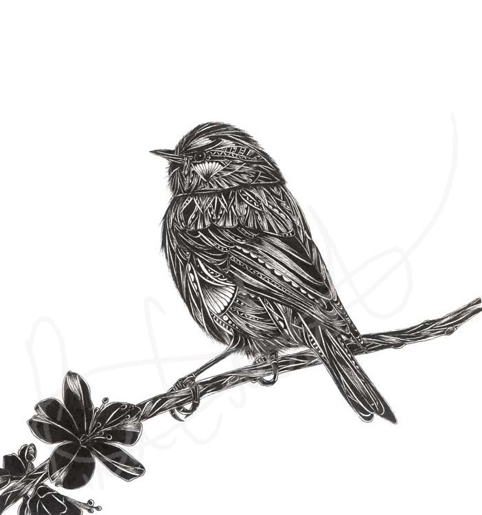 Pen and ink artwork of blue tit bird standing on branch on white background