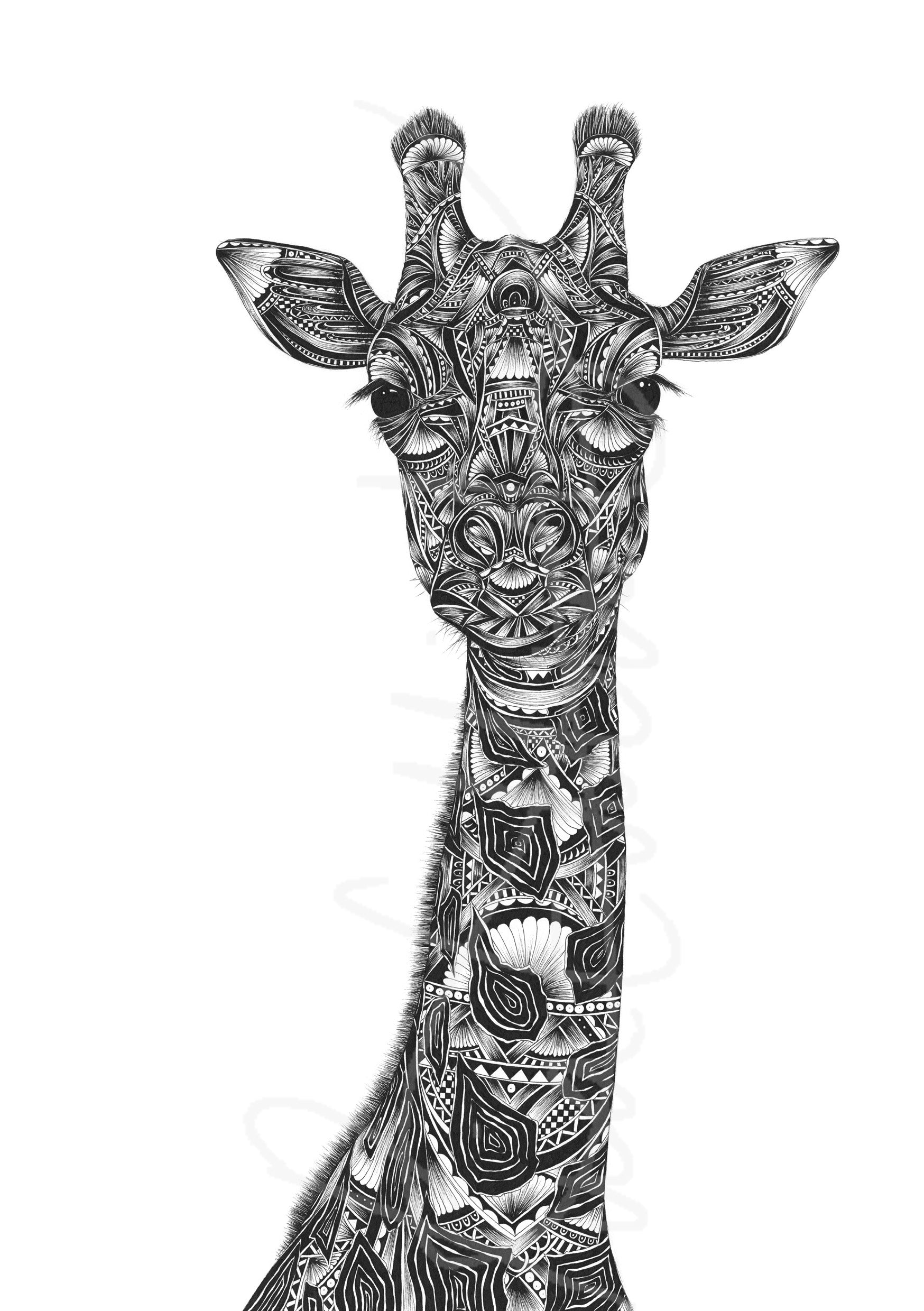 Monochrome giraffe original artwork hand drawn in pen and ink by Pia Elliot in her Dorset studio