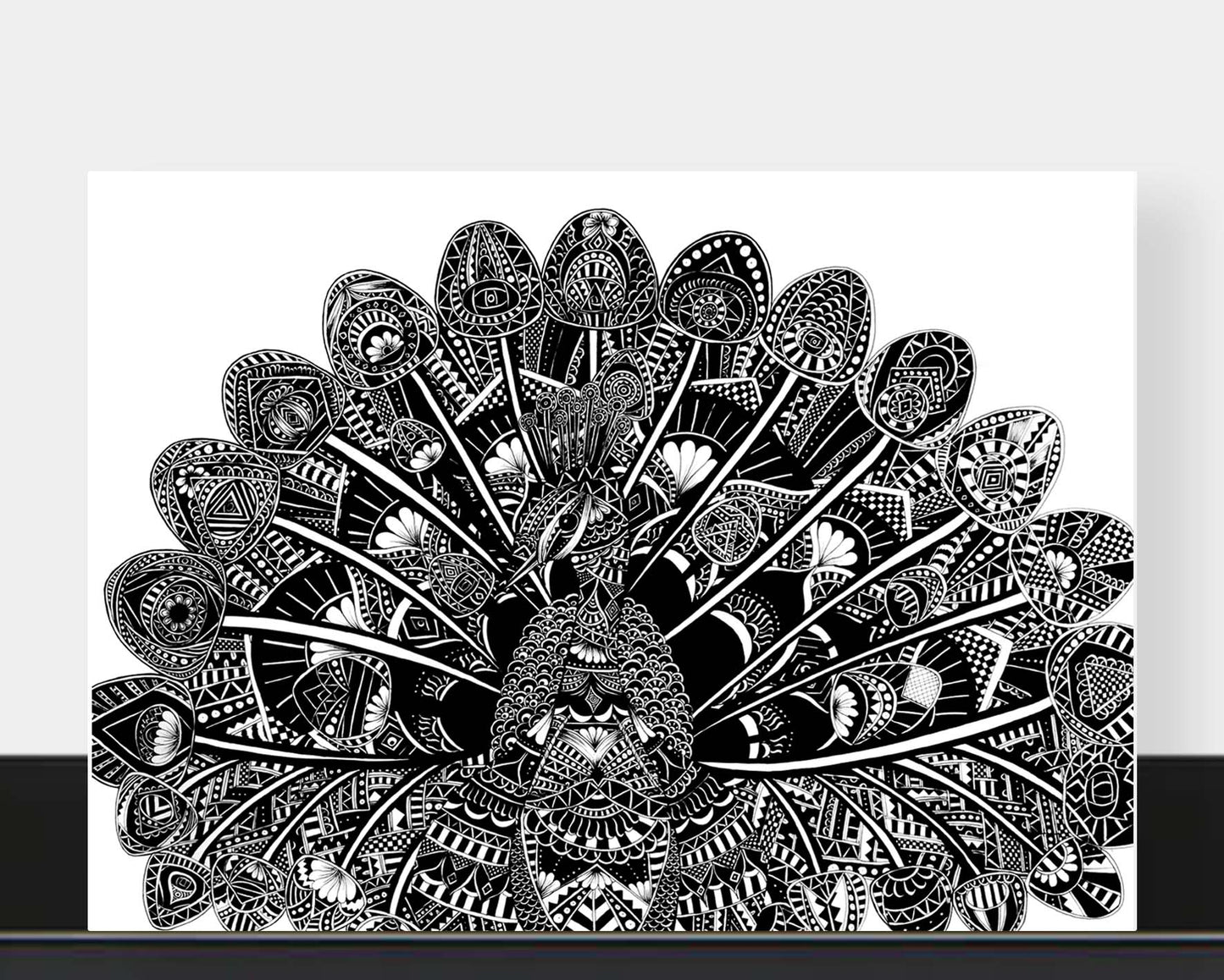 Blank peacock greetings card originally hand drawn in pen and ink by Pia Elliot in her Dorset studio