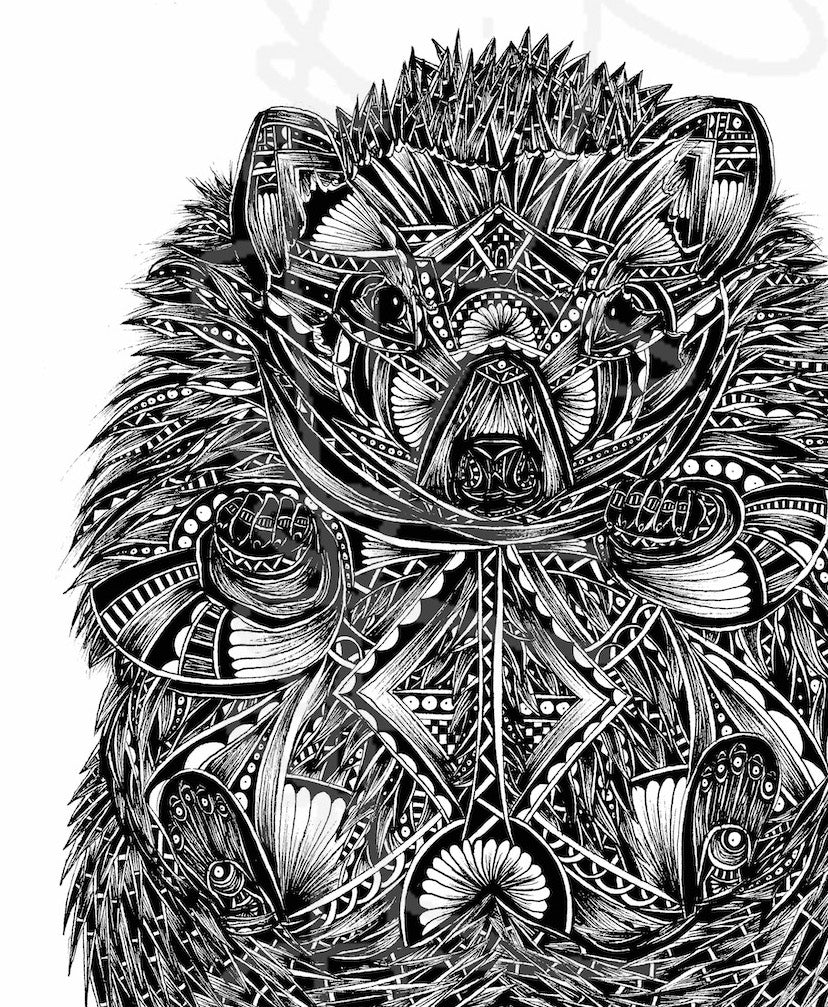 Monochrome hedgehog original artwork close up, hand drawn in pen and ink by Pia Elliot in her Dorset studio