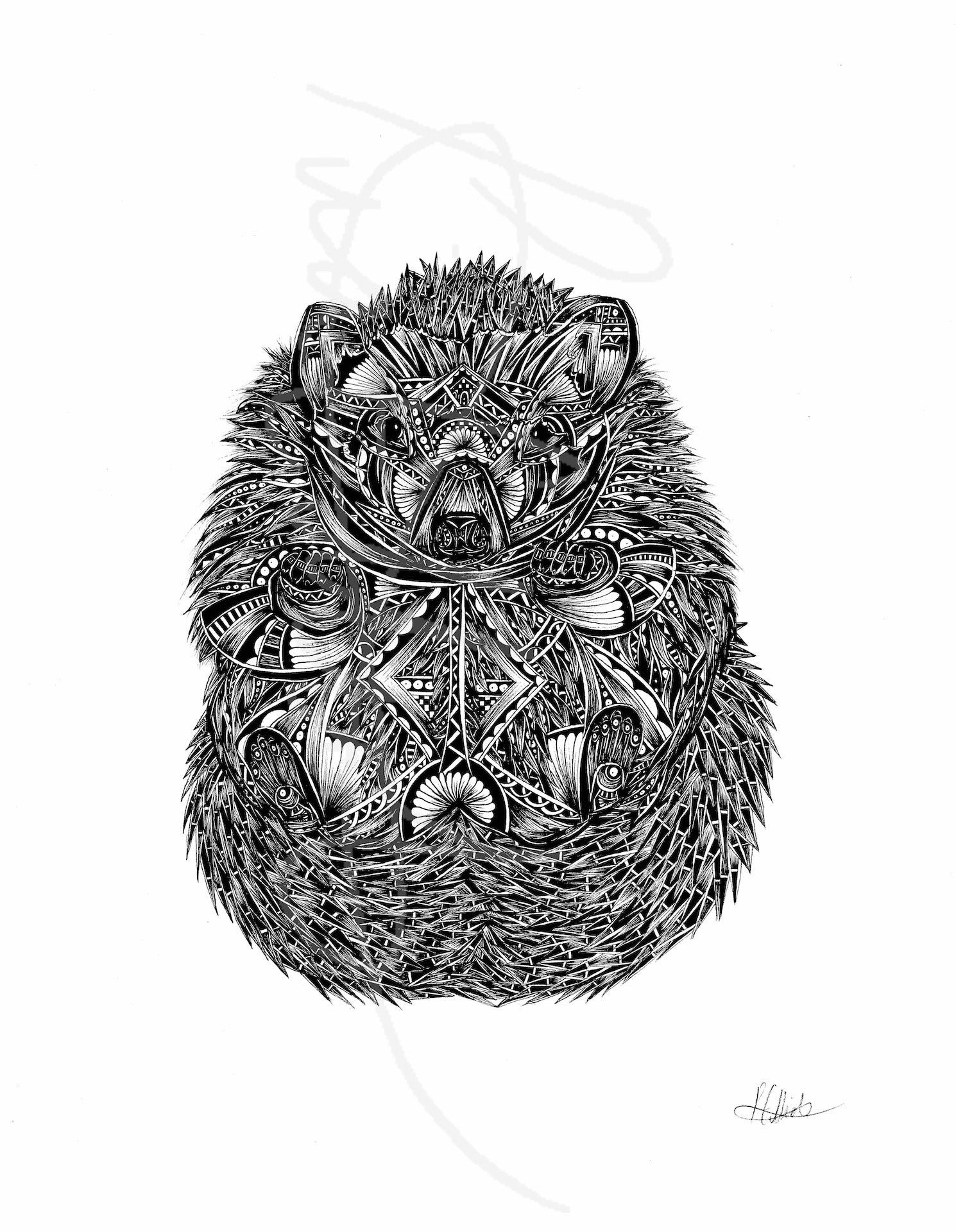 Monochrome hedgehog original artwork hand drawn in pen and ink by Pia Elliot in her Dorset studio