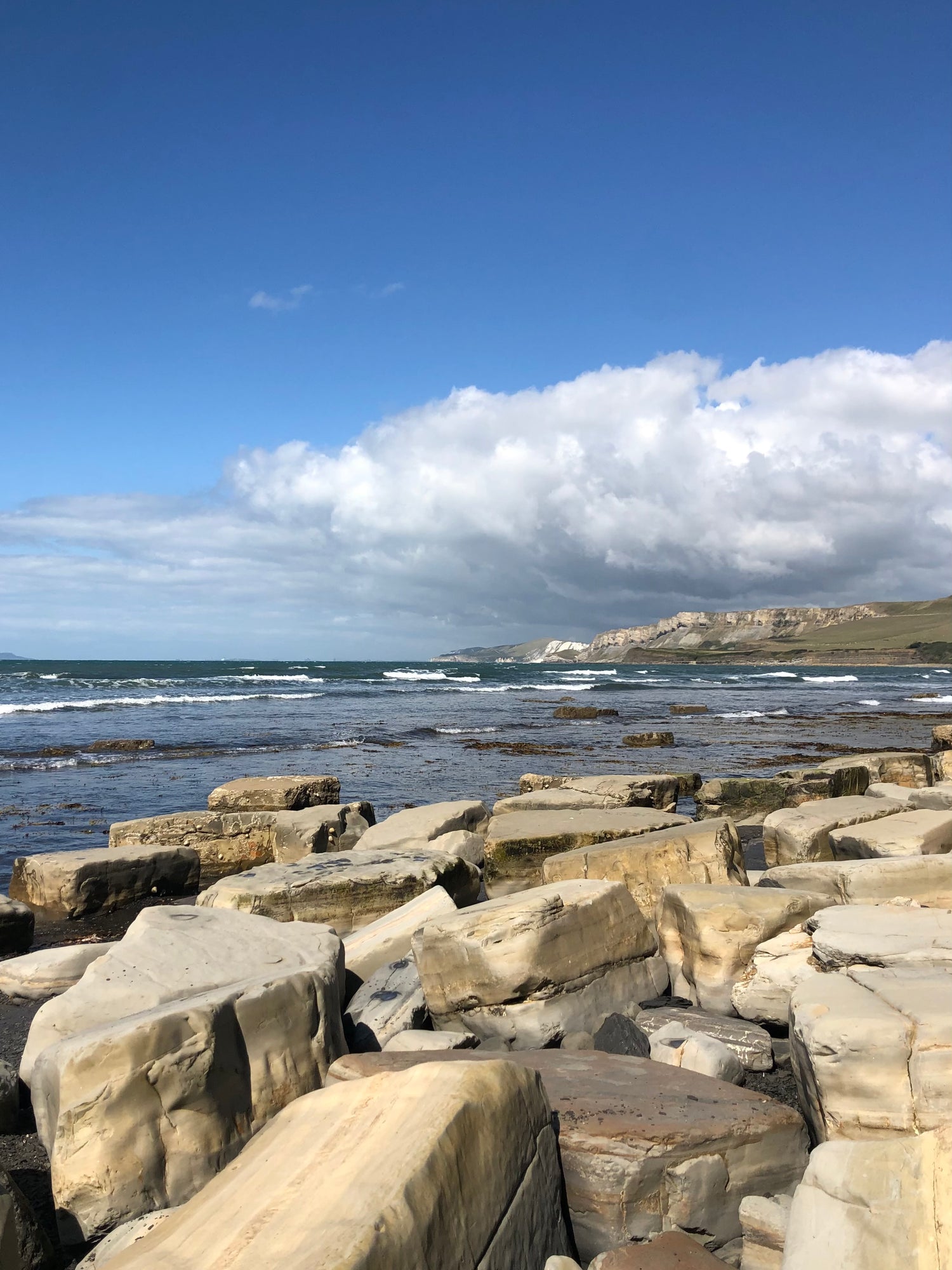 Landscape image of Kimmeridge Bay in Dorset used for artistic inspiration