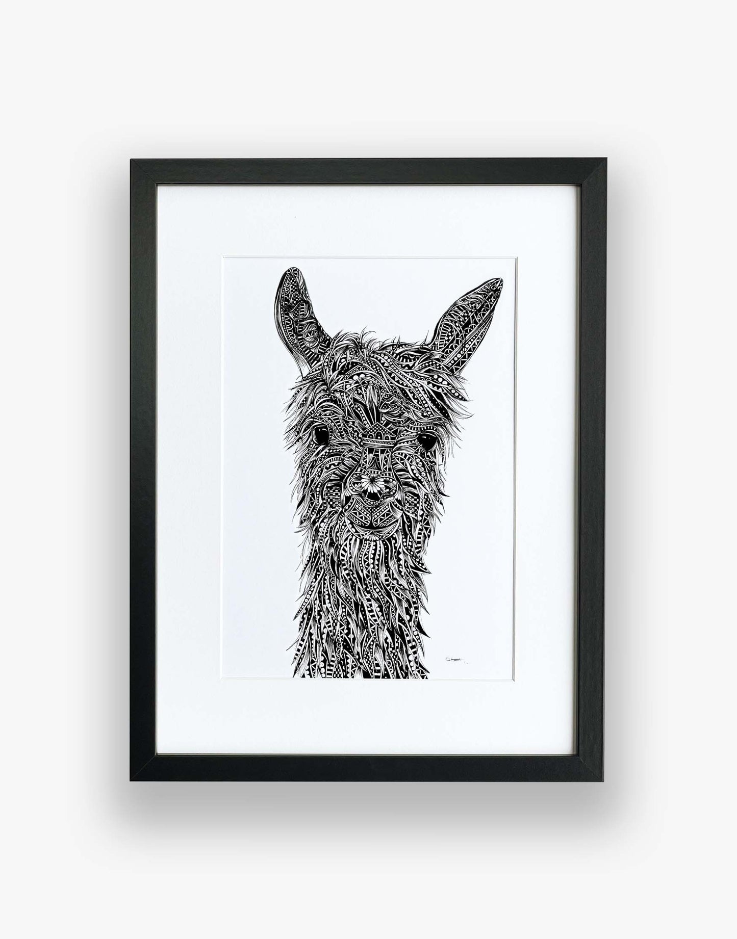 Monochrome, llama, limited edition artwork in black frame, hand drawn in pen and ink by Pia Elliot in her Dorset studio