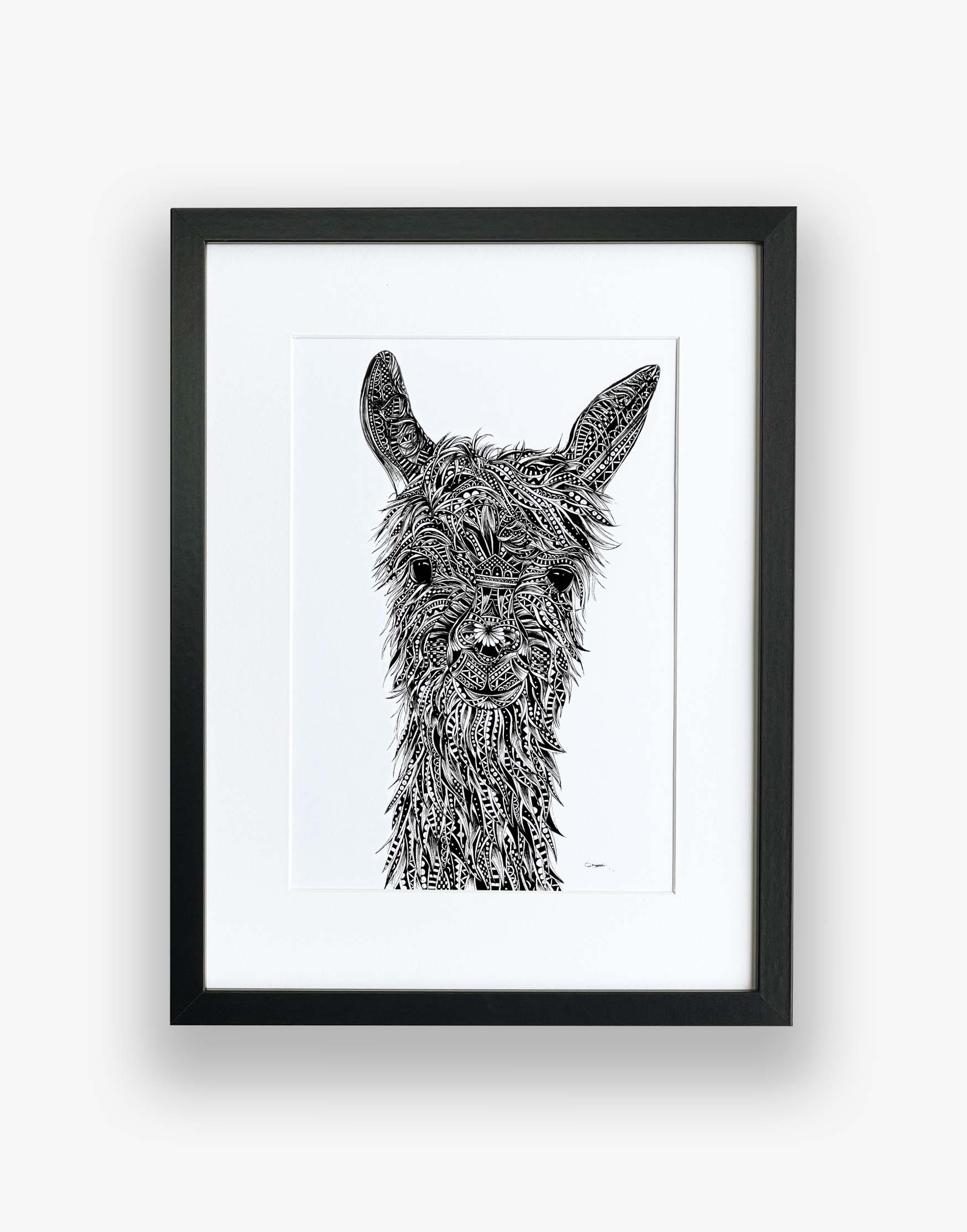 Monochrome, llama, limited edition artwork in black frame, hand drawn in pen and ink by Pia Elliot in her Dorset studio