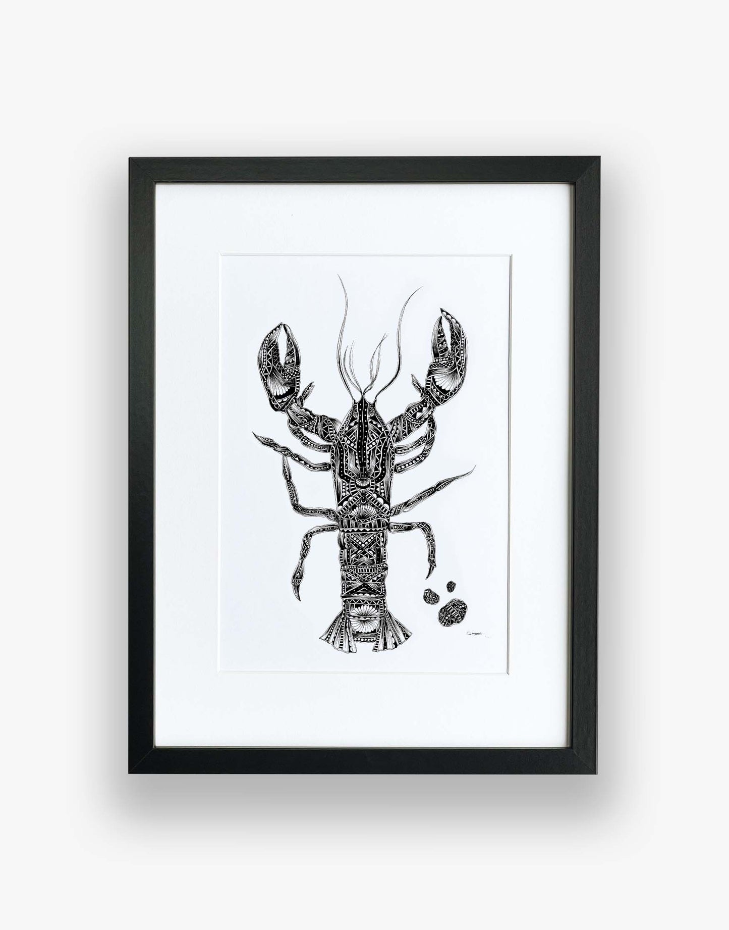 Monochrome, lobster, limited edition artwork, hand drawn in pen and ink by Pia Elliot in her Dorset studio