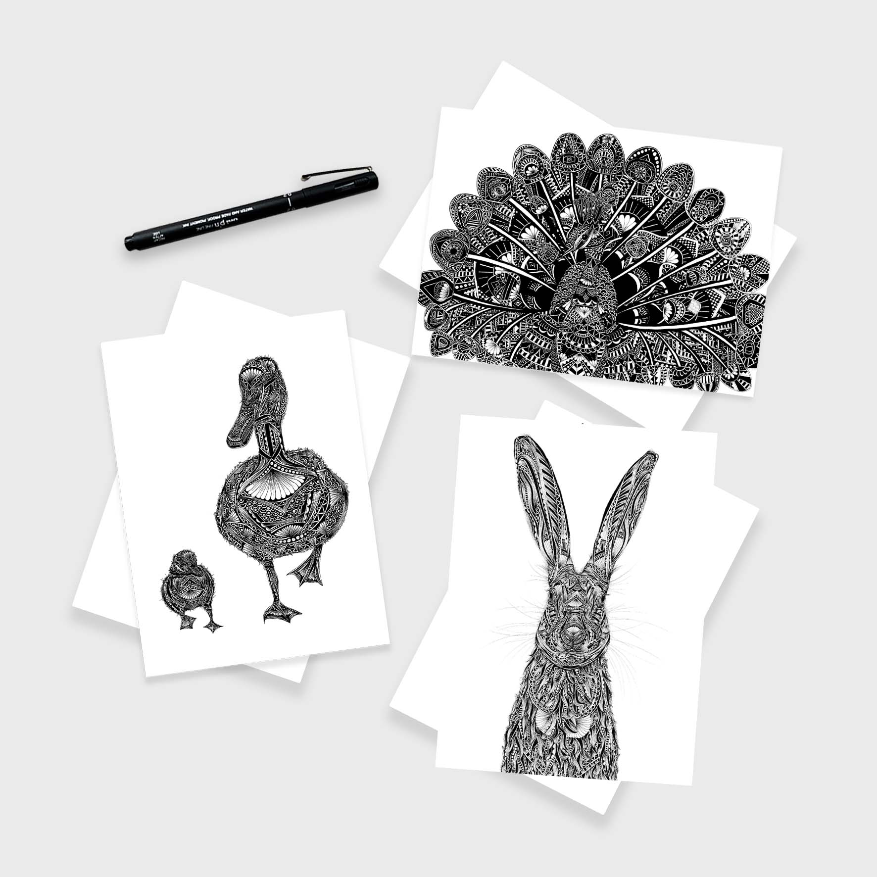 Blank animal greetings cards originally hand drawn in pen and ink by Pia Elliot in her Dorset studio