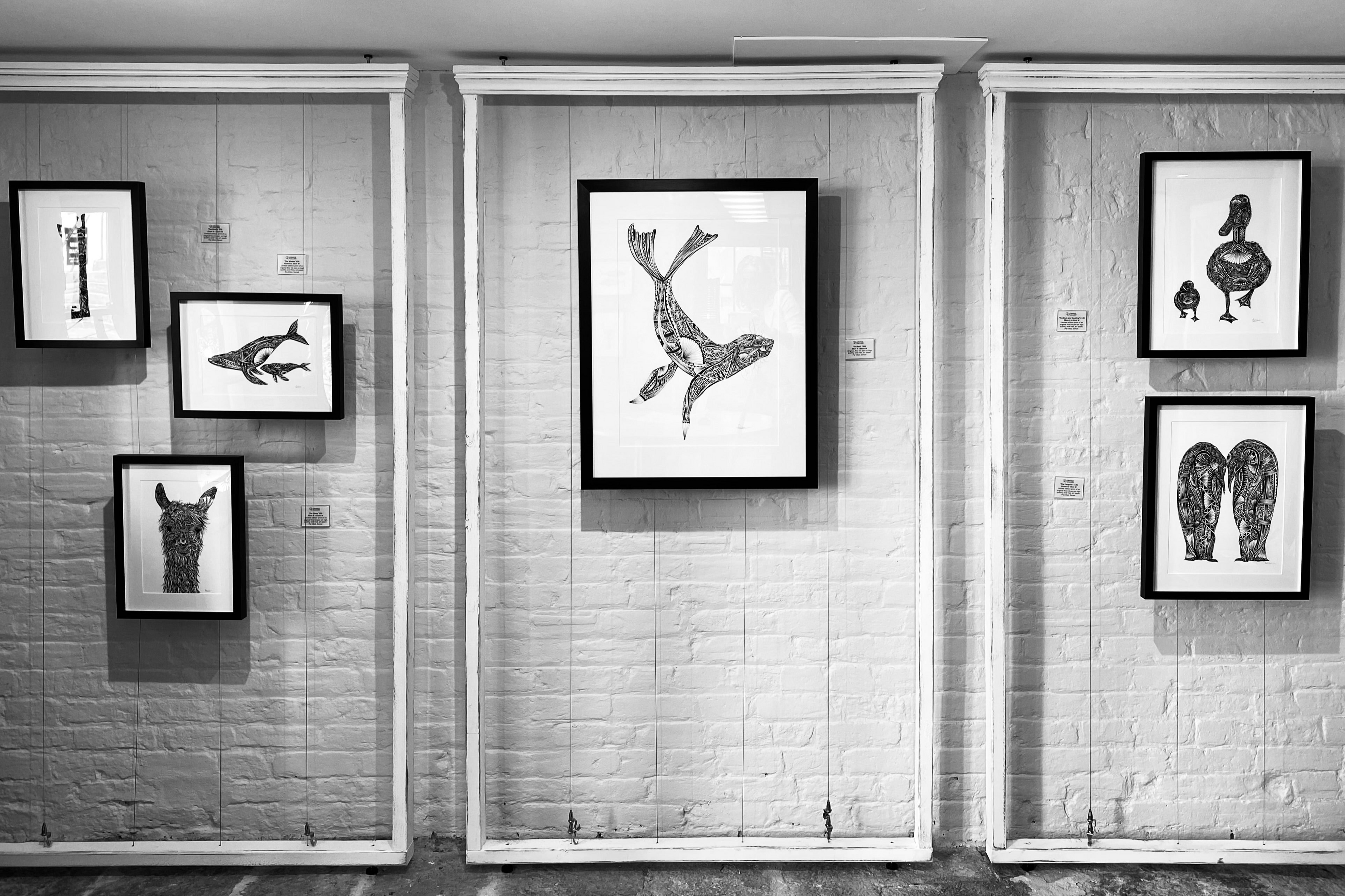 Hand drawn pen and ink artwork by Pia Elliot in Dorset Gallery