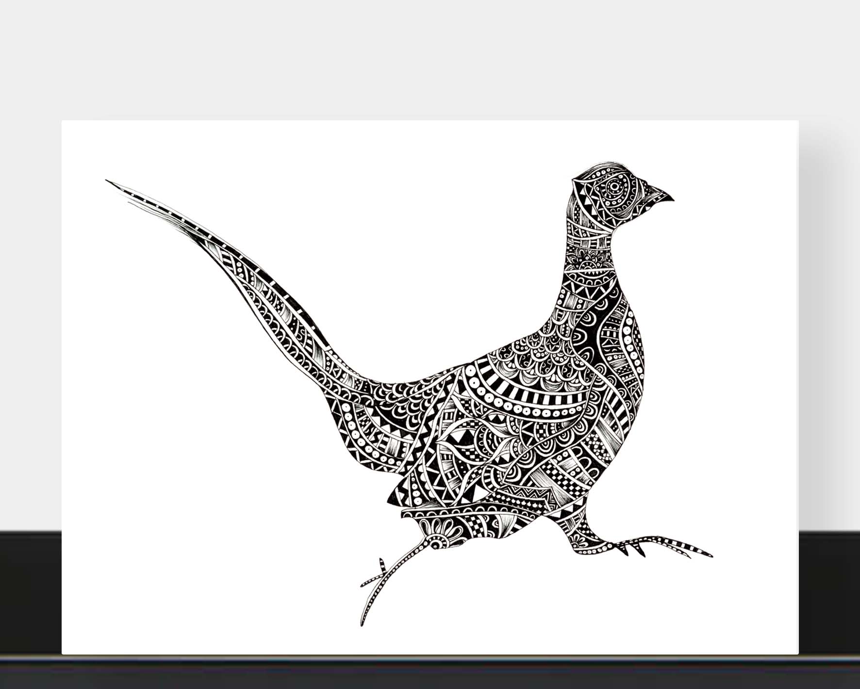 Monochrome blank pheasant greetings card originally hand drawn in pen and ink by Pia Elliot in her Dorset studio
