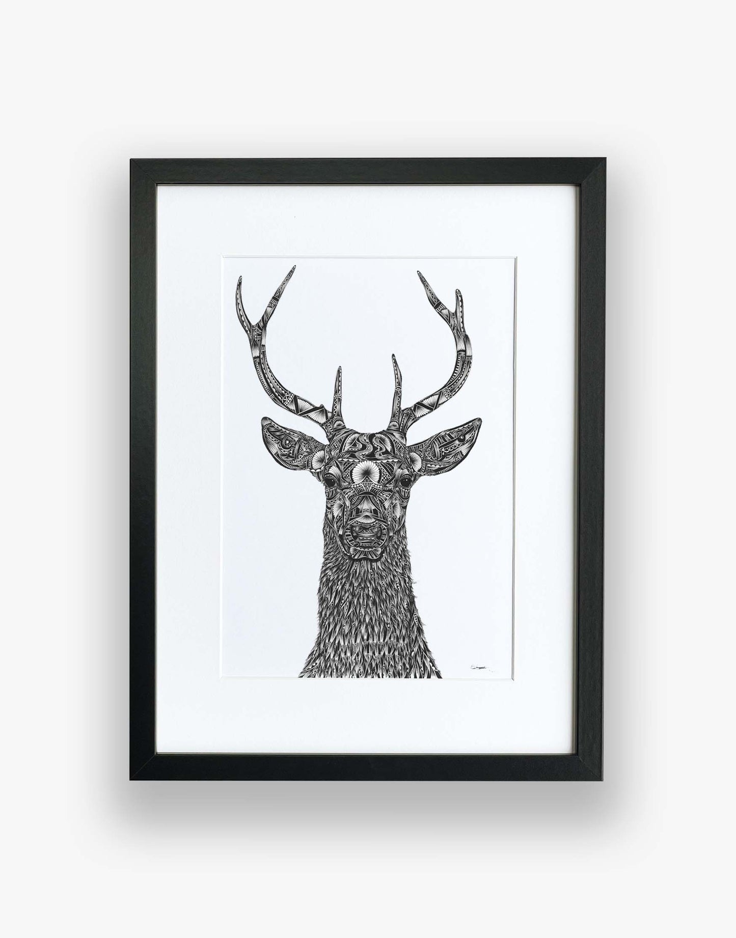 Monochrome stag limited edition artwork, hand drawn in pen and ink by Pia Elliot in her Dorset studio