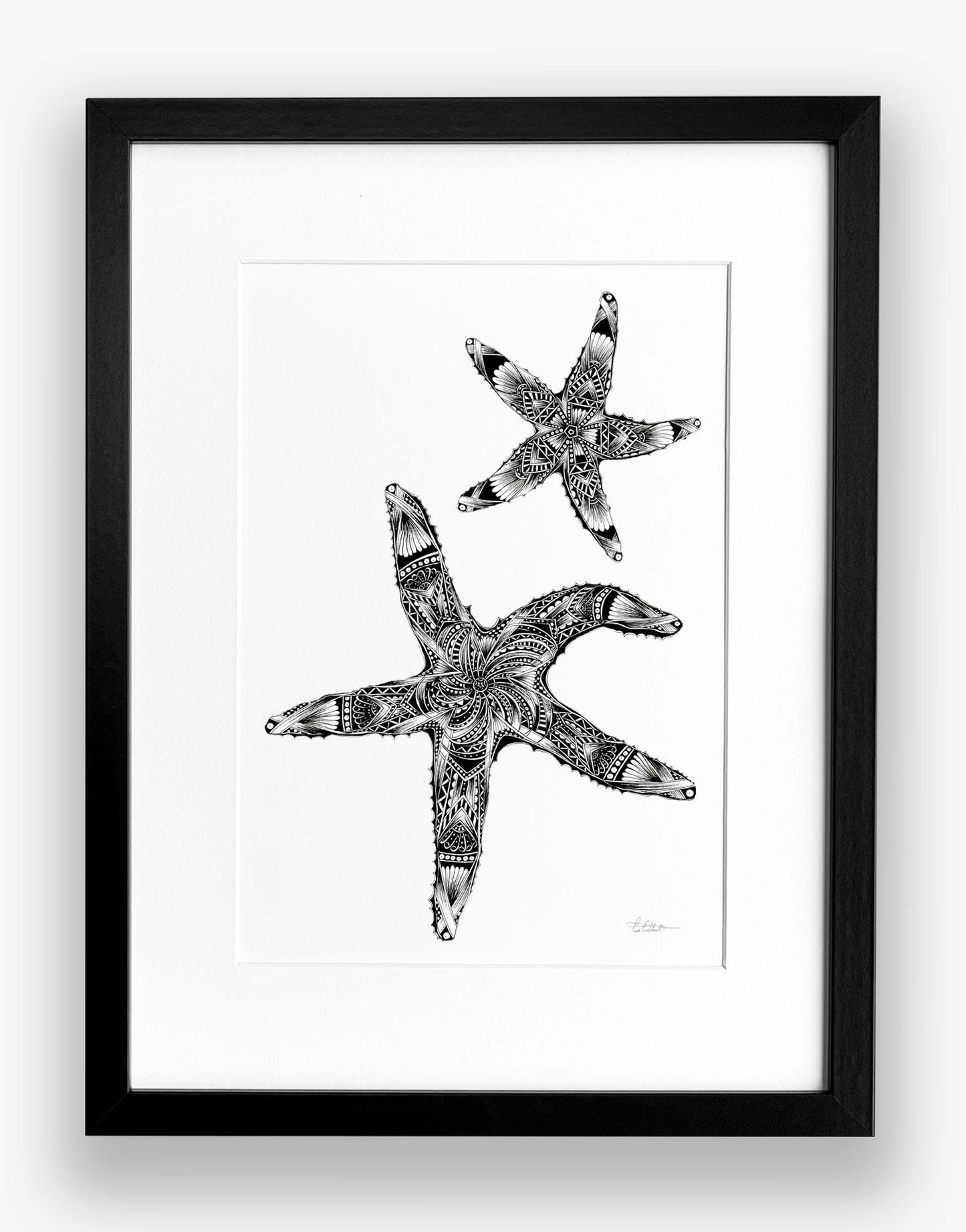 Framed black and white illustration of a starfish on a white background