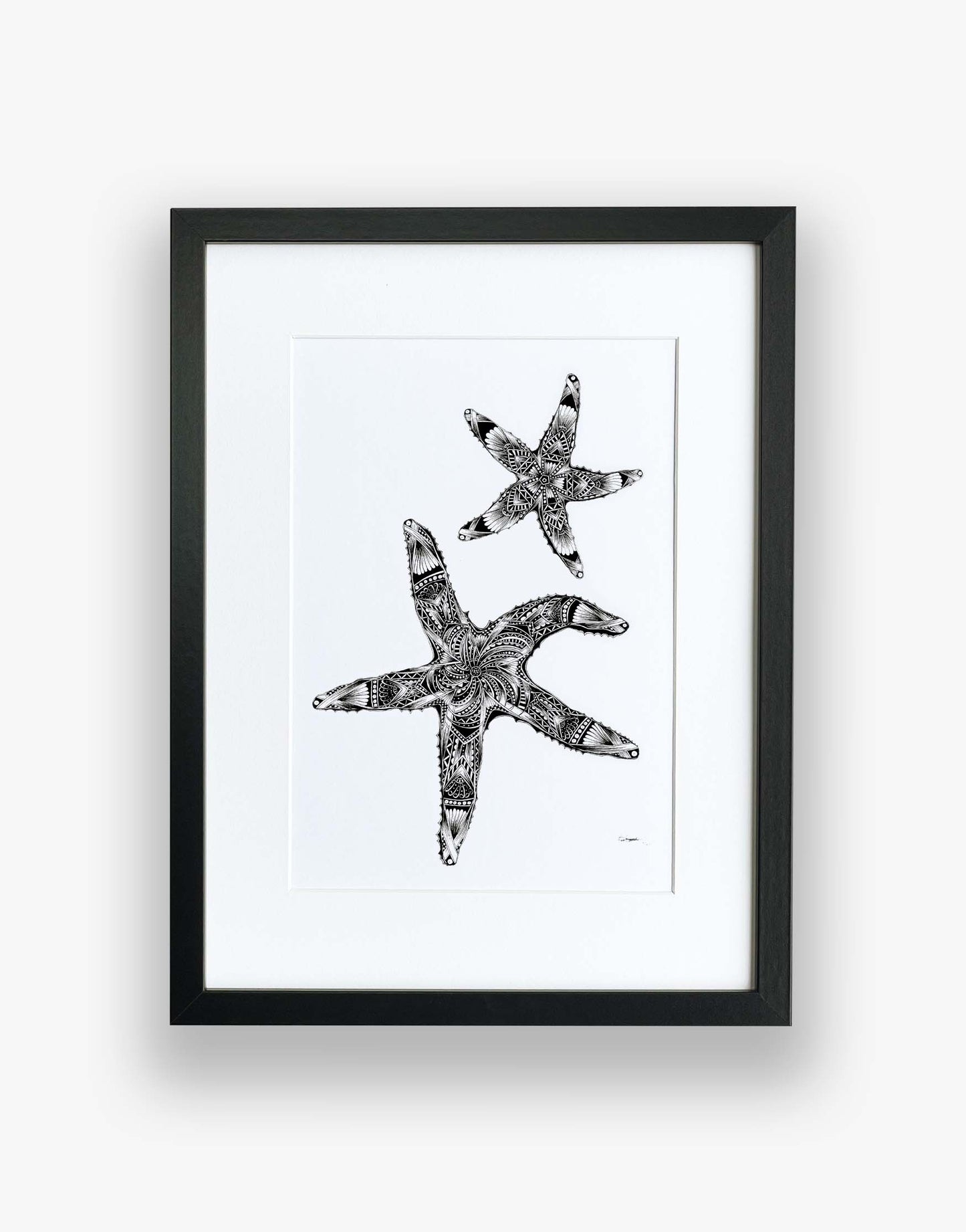 Monochrome, starfish, limited edition artwork, hand drawn in pen and ink by Pia Elliot in her Dorset studio