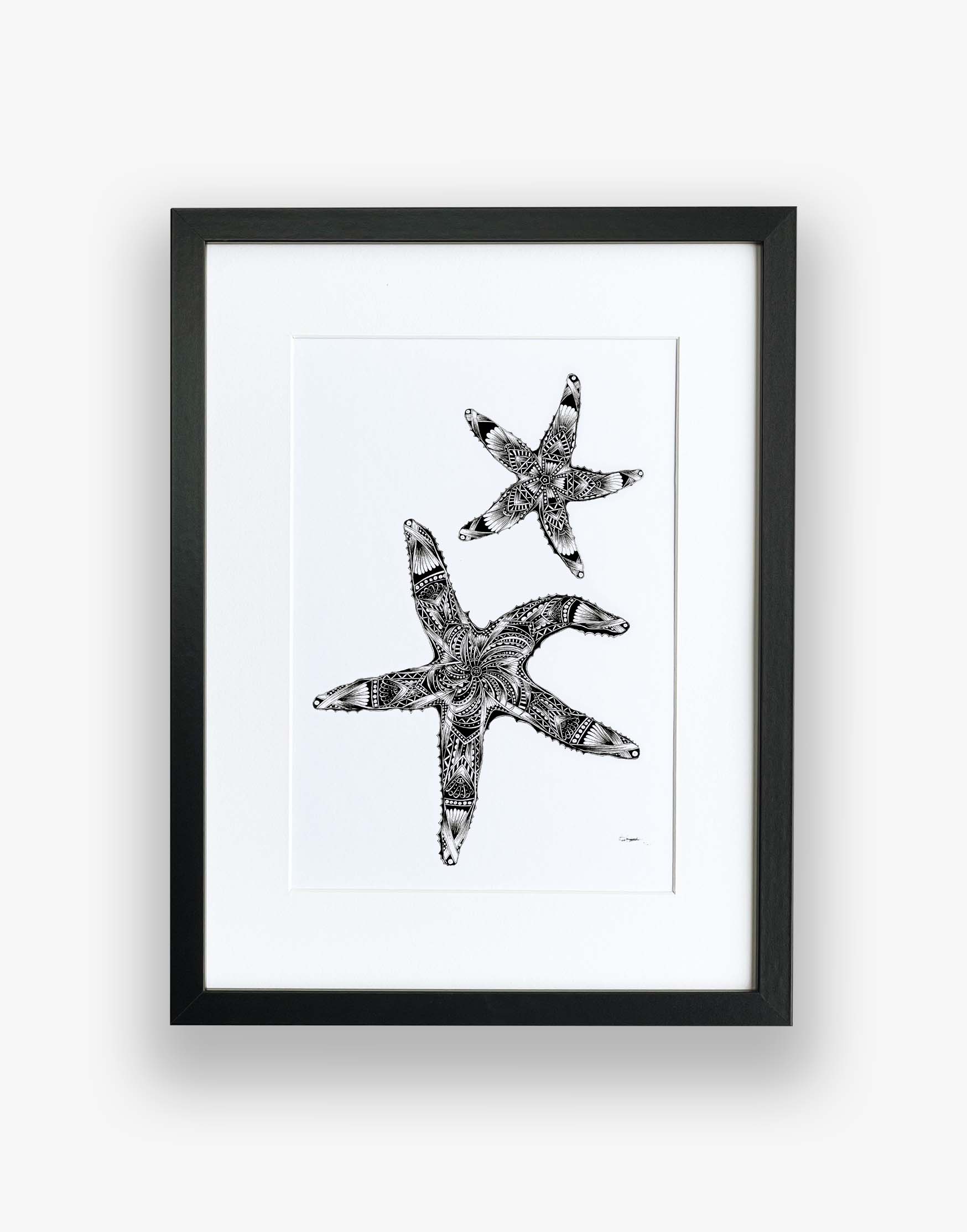 Monochrome, starfish, limited edition artwork, hand drawn in pen and ink by Pia Elliot in her Dorset studio