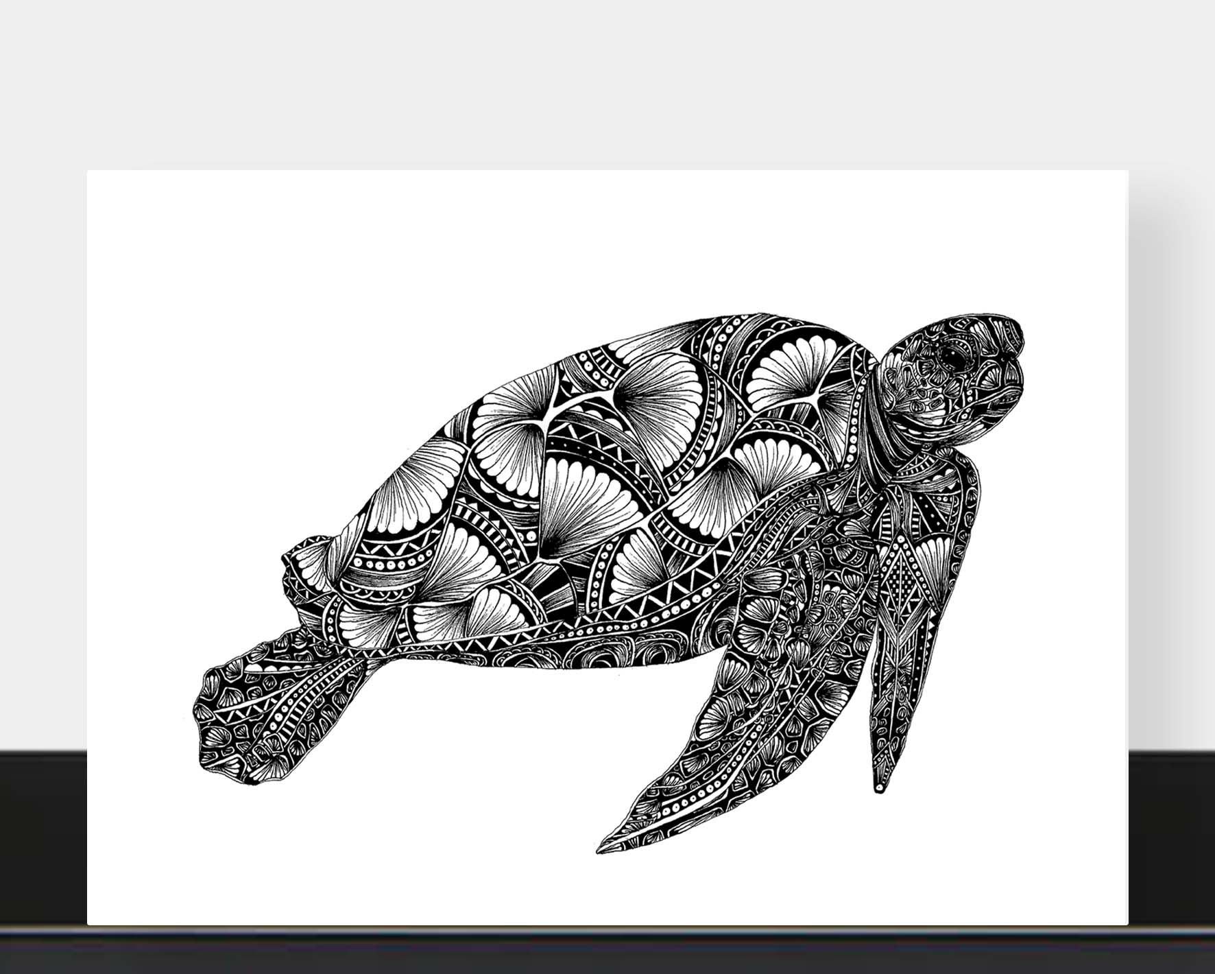 Monochrome blank turtle greetings card originally hand drawn in pen and ink by Pia Elliot in her Dorset studio