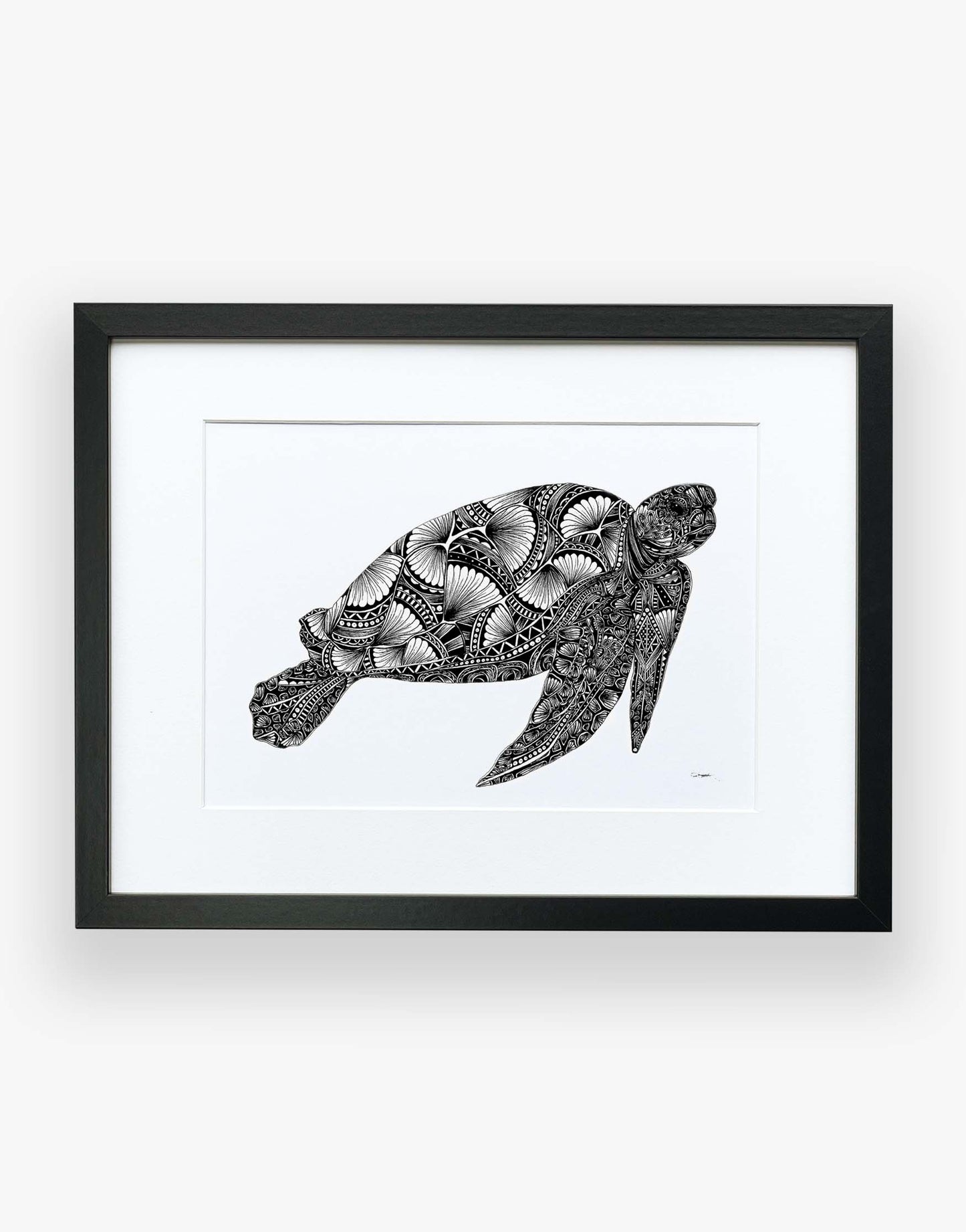 Monochrome, turtle, limited edition artwork in black frame, hand drawn in pen and ink by Pia Elliot in her Dorset studio