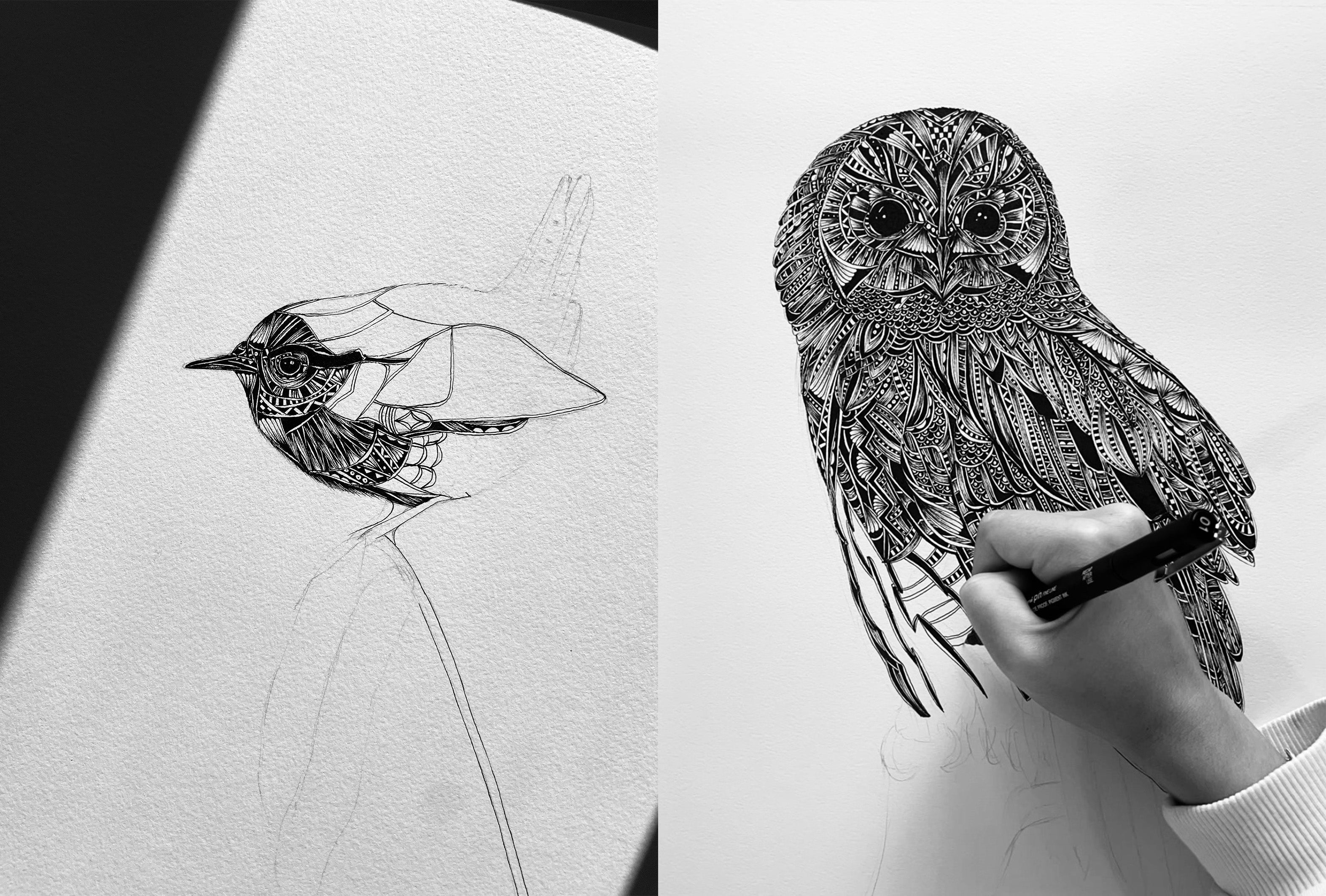 Work in progress pen and ink illustrations, hand drawn by artist Pia Elliot in Dorset