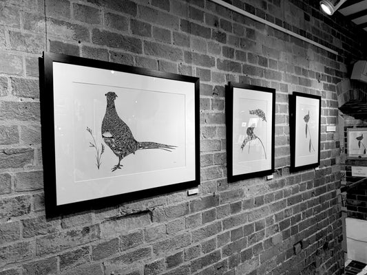 pheasant, mouse and bird black and white artwork in black frames on a warm brick wall 