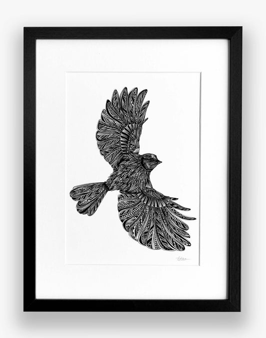 Framed black and white illustration of a bird in flight on a white background
