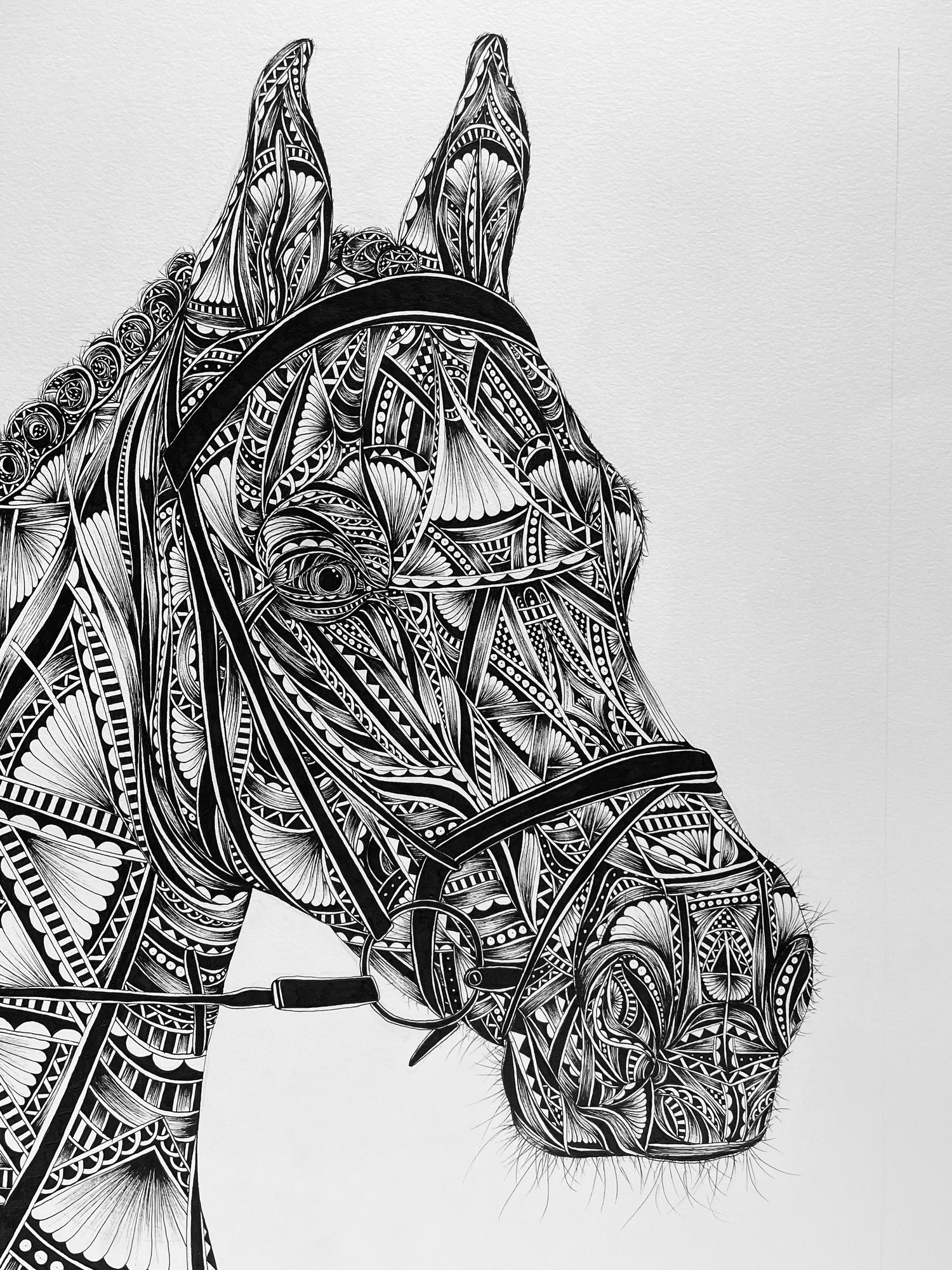 Artistic black and white illustration of a horse's head with intricate patterns.