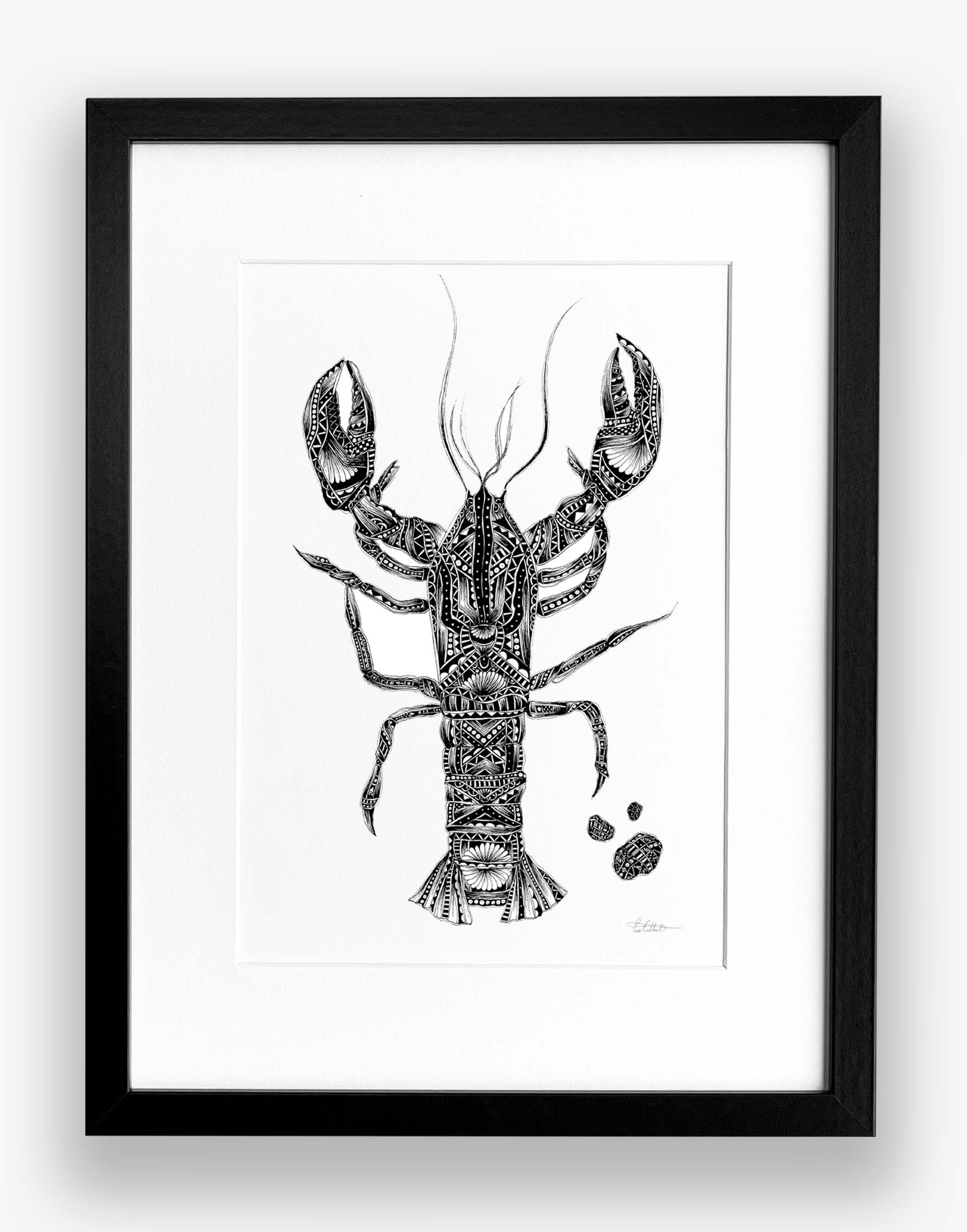 Framed black and white illustration of a lobster on a white background
