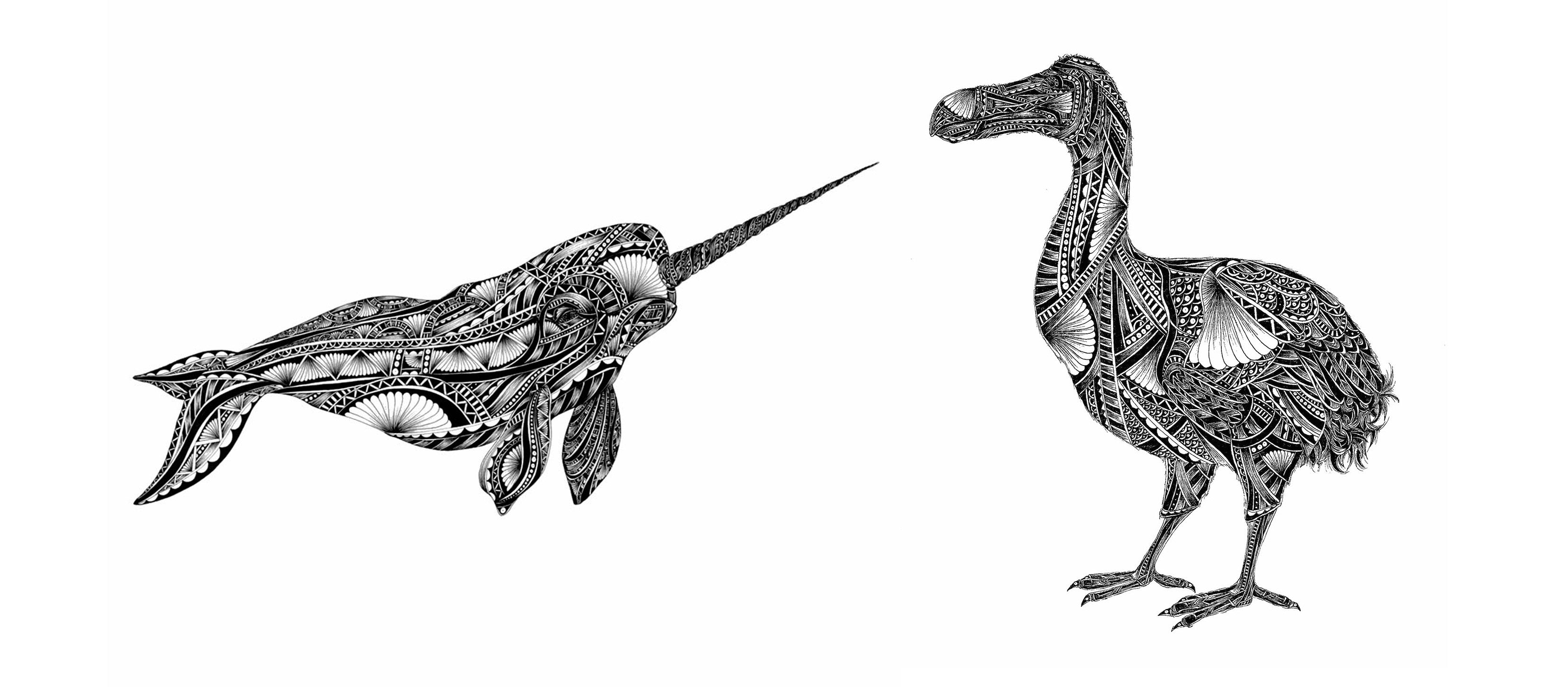 Black and white illustration of a narwhal and dodo with intricate patterns on a white background