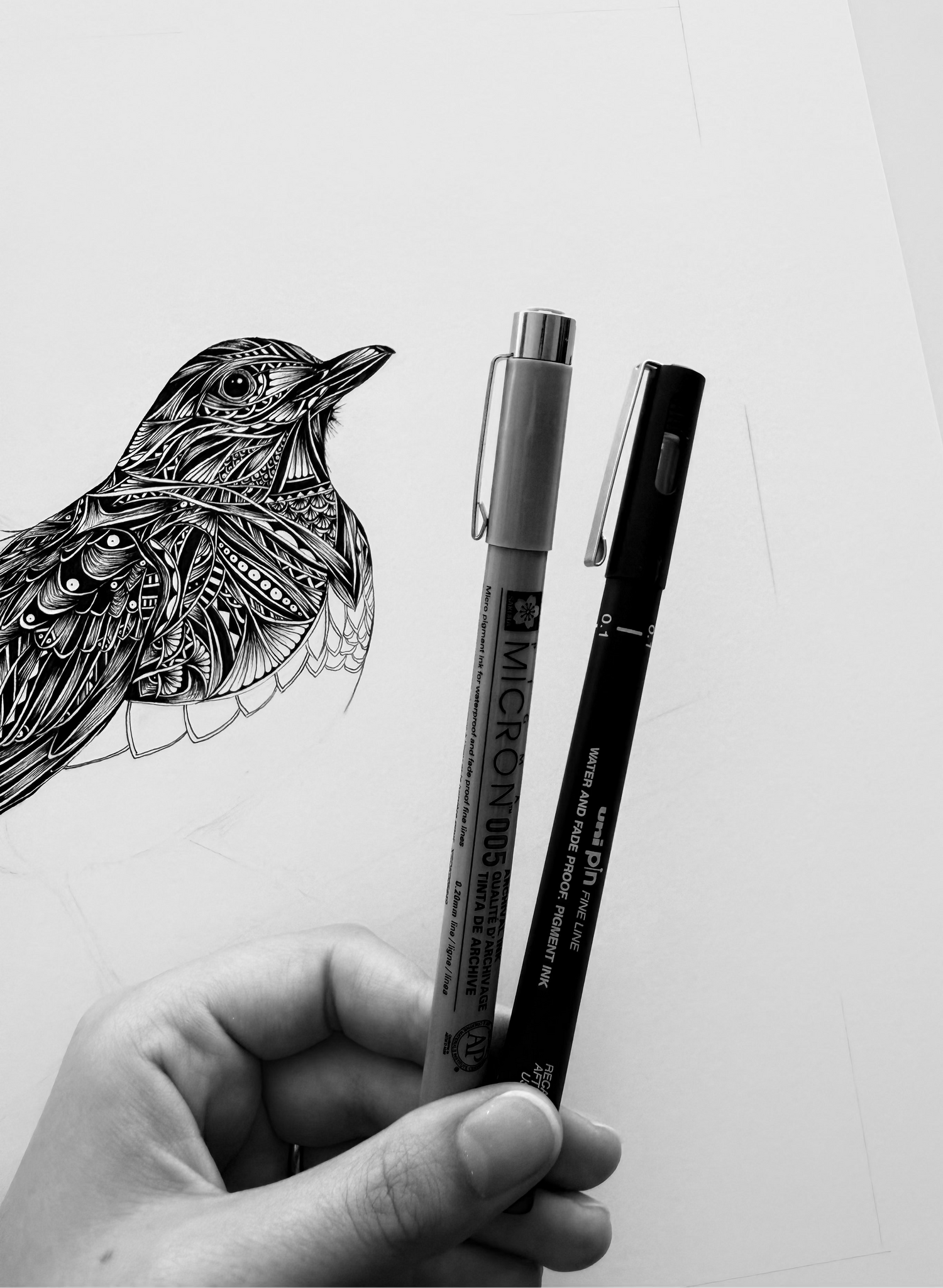 Hand holding two pens with a detailed bird illustration in the background