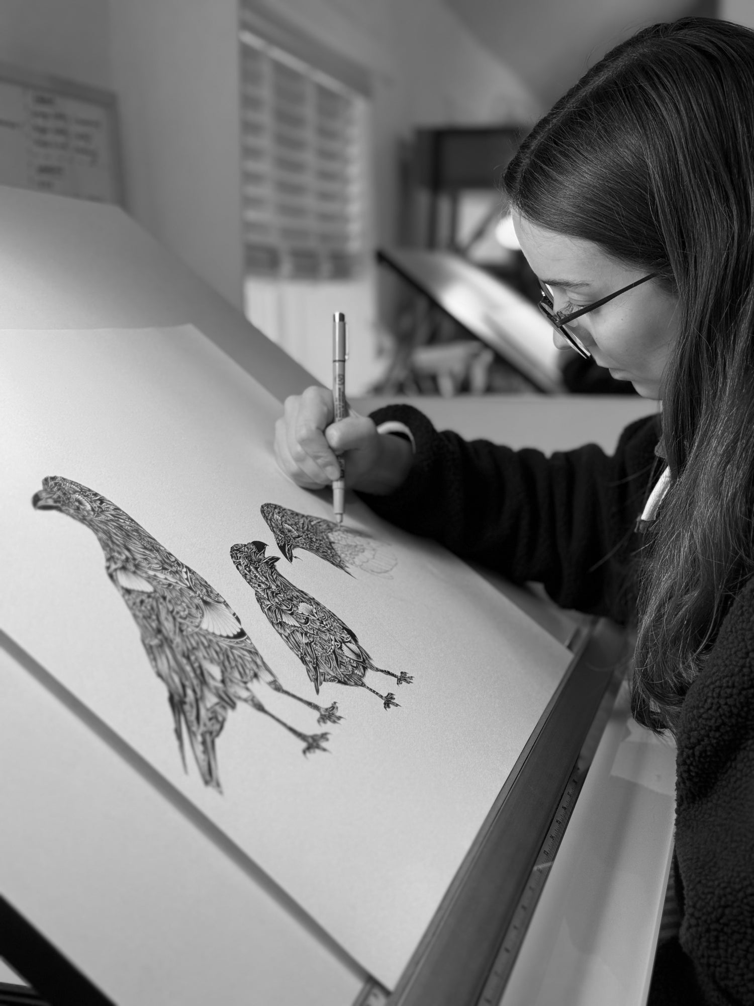 work in progress bespoke pen and ink illustration of some ravens by Pia Elliot