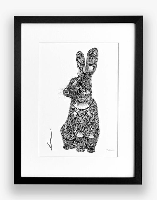 pen and ink illustration of a rabbit with pattern on a white background