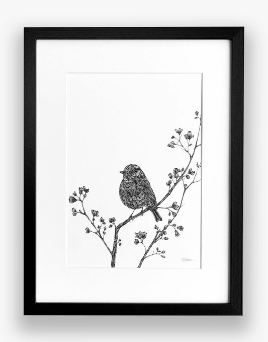 black and white robin artwork on a blossom branch with pattern on a white background