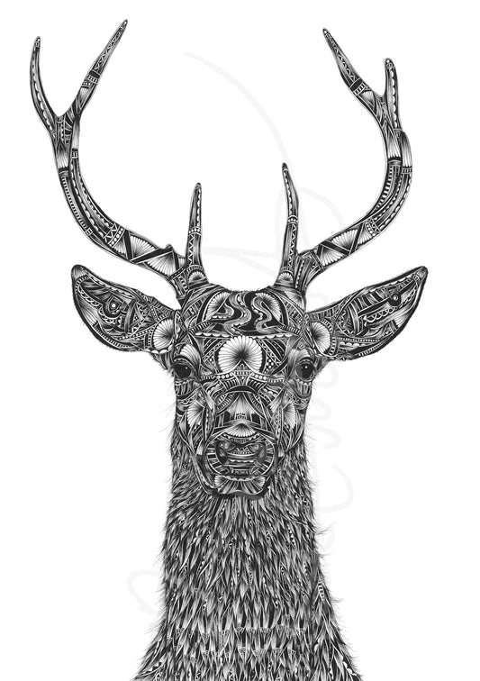 stag artwork