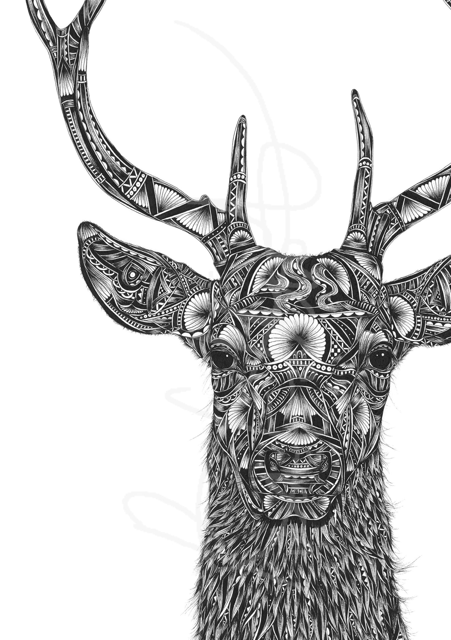 Stag artwork