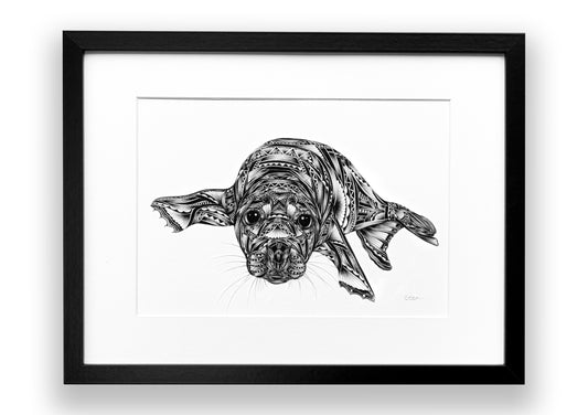 pen and ink illustration of grey seal with pattern on a white background