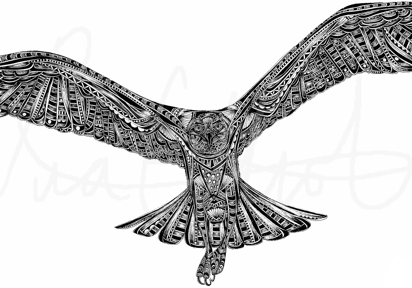 Monochrome osprey original artwork close up, hand drawn in pen and ink by Pia Elliot in her Dorset studio