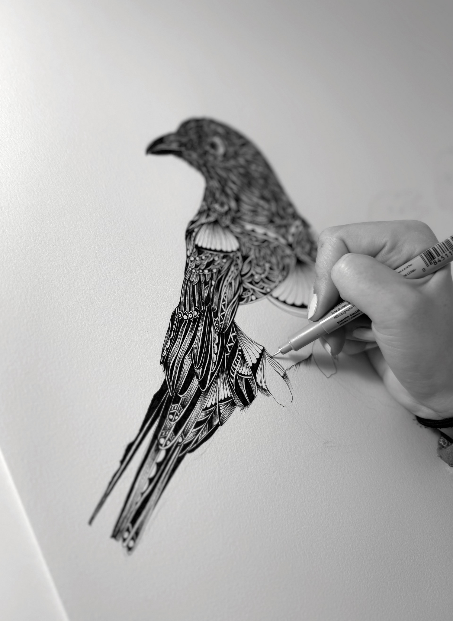 Hand drawing a detailed bird illustration on paper with a pen.