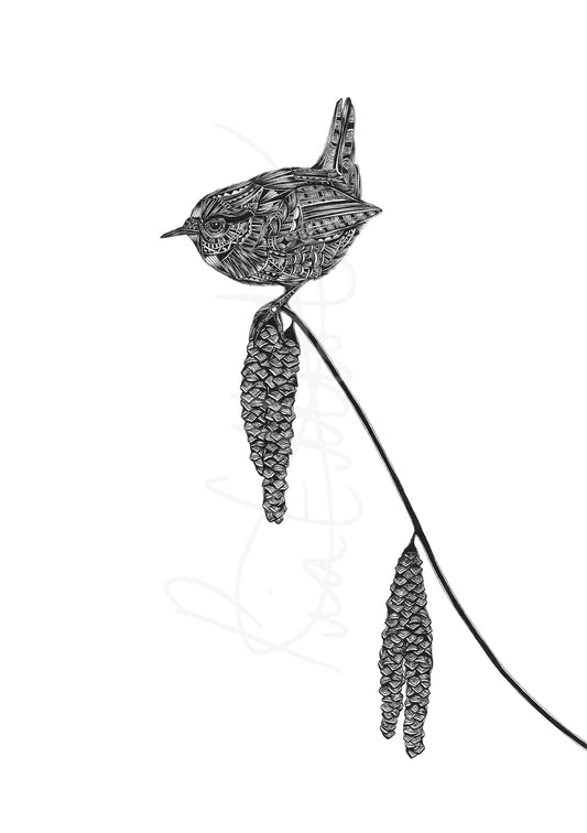wren artwork