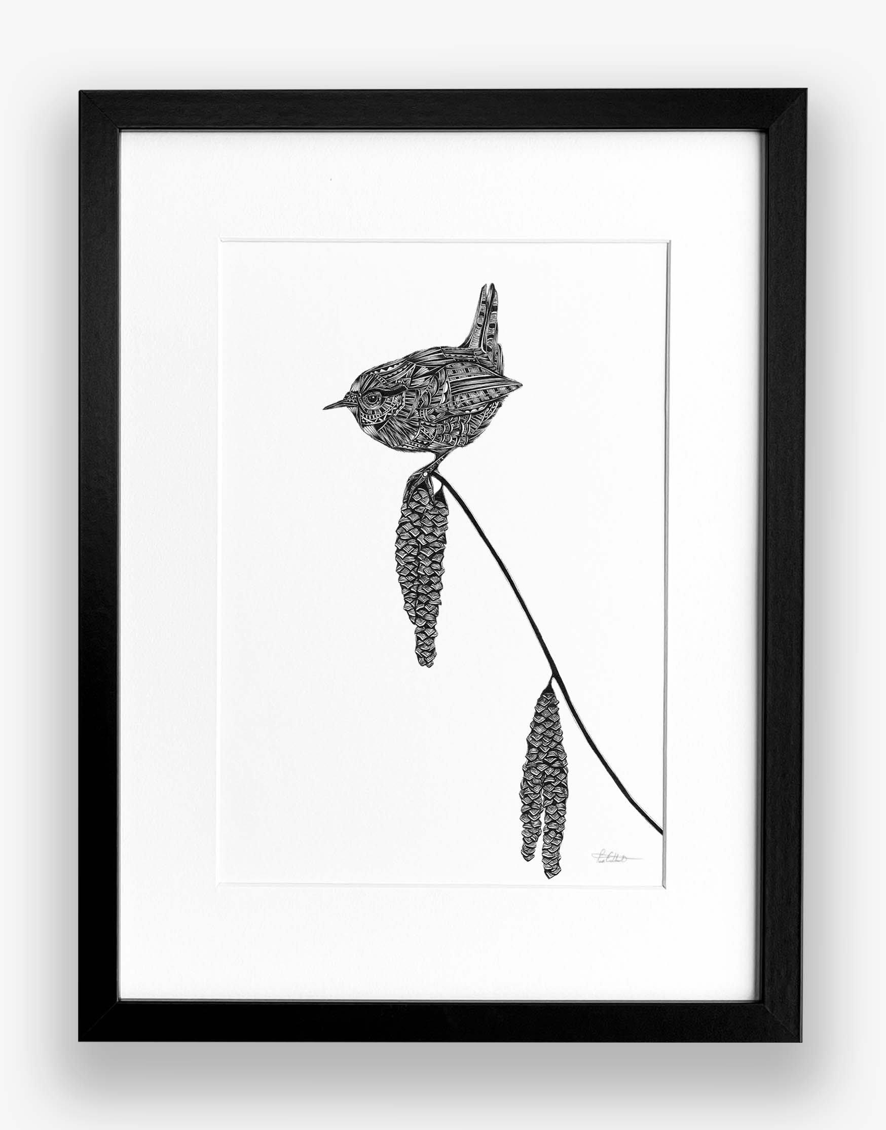framed black and white artwork of a wren perched on a branch with white background