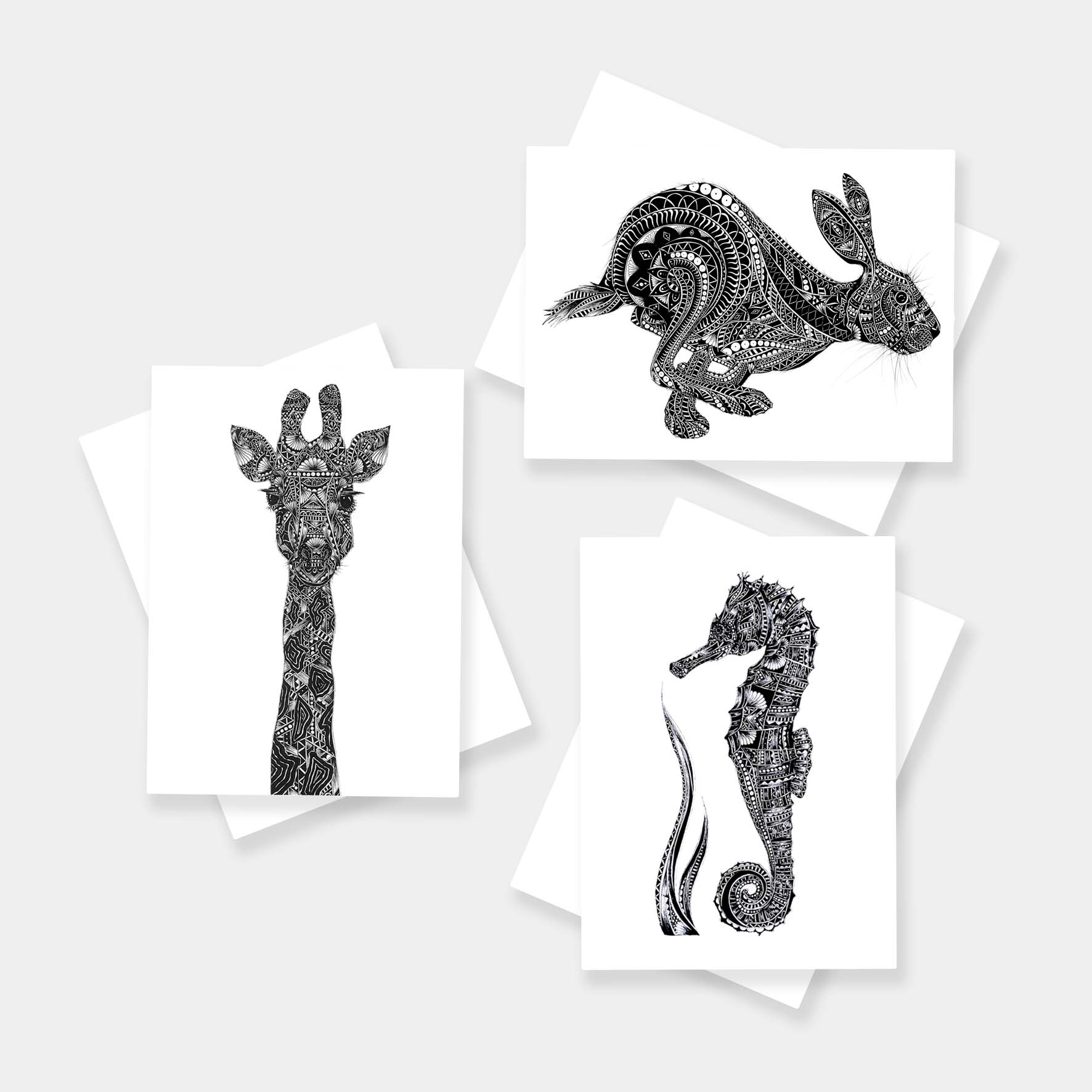 blank animal cards