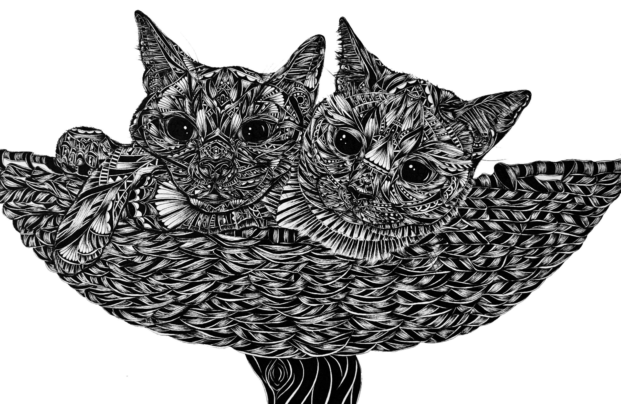 Black and white illustration of two stylized cats with intricate patterns on a white background