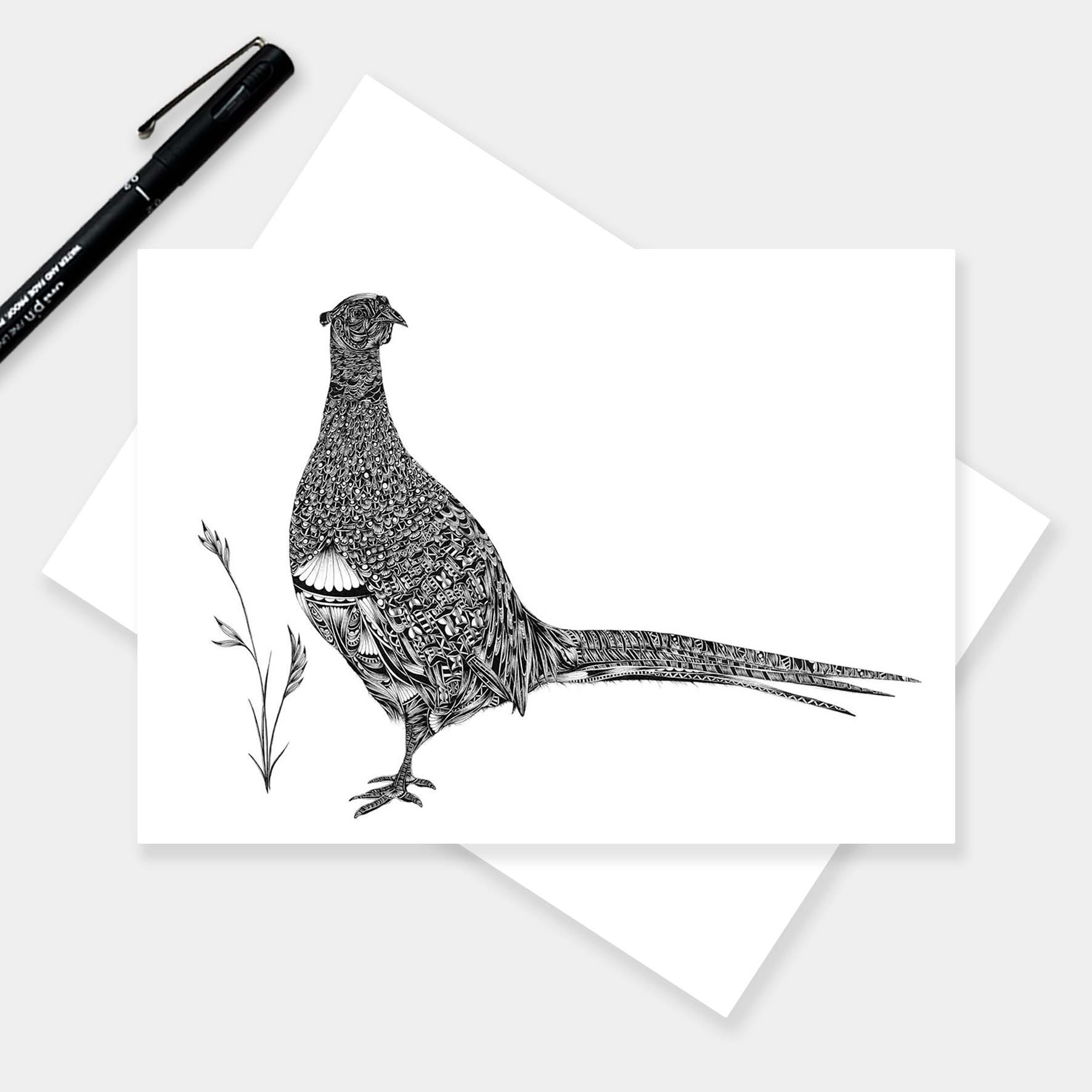 A white greeting card featuring a detailed black ink illustration of a pheasant bird, styled on a light gray background with a black pen and a white envelope.