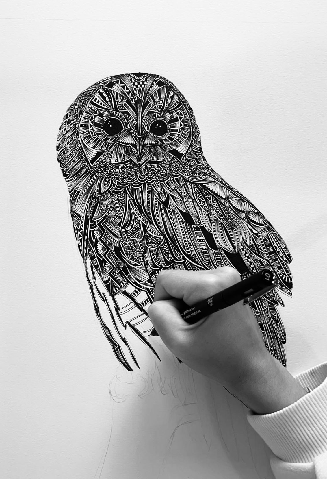 Hand holding a pen over a detailed owl illustration on a white background